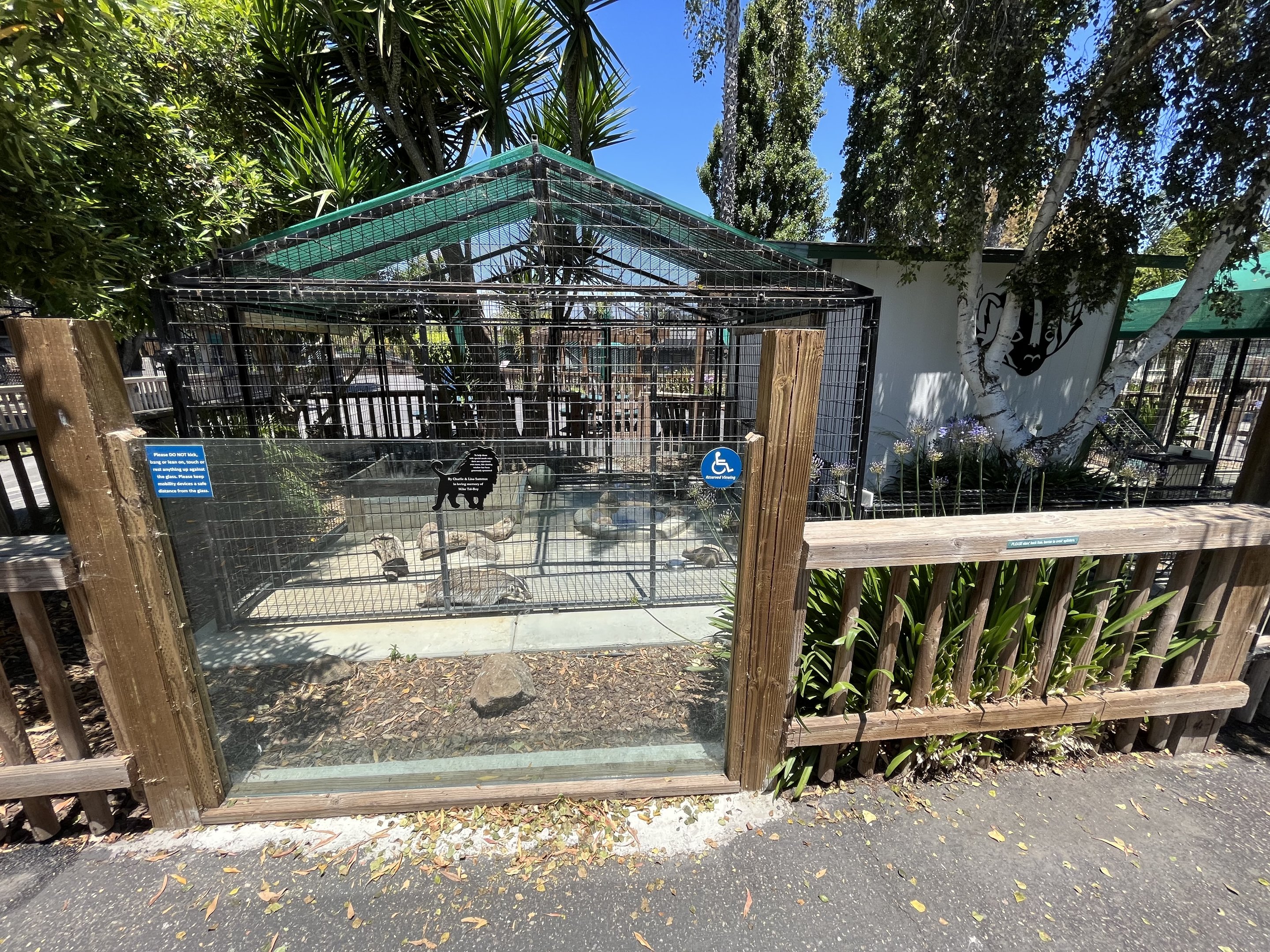 American Badger Exhibit #2