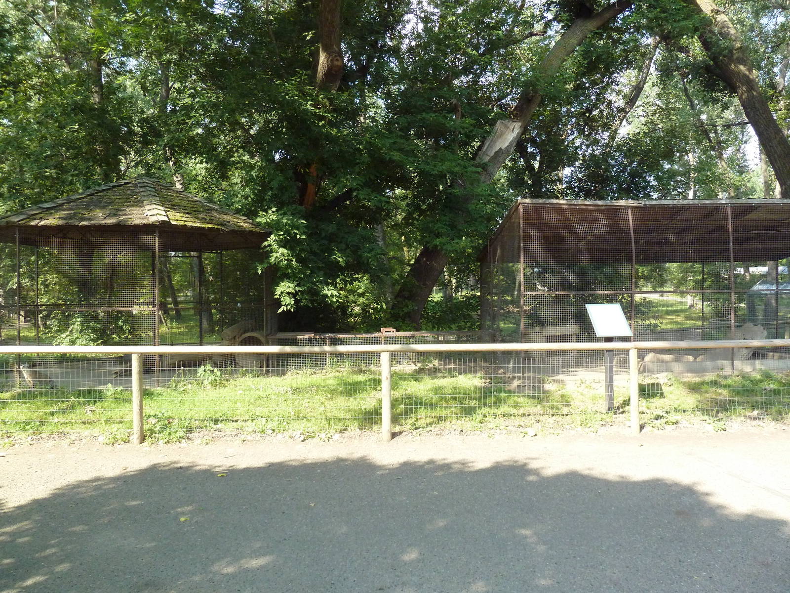 American Badger Exhibit (adjoining cages)