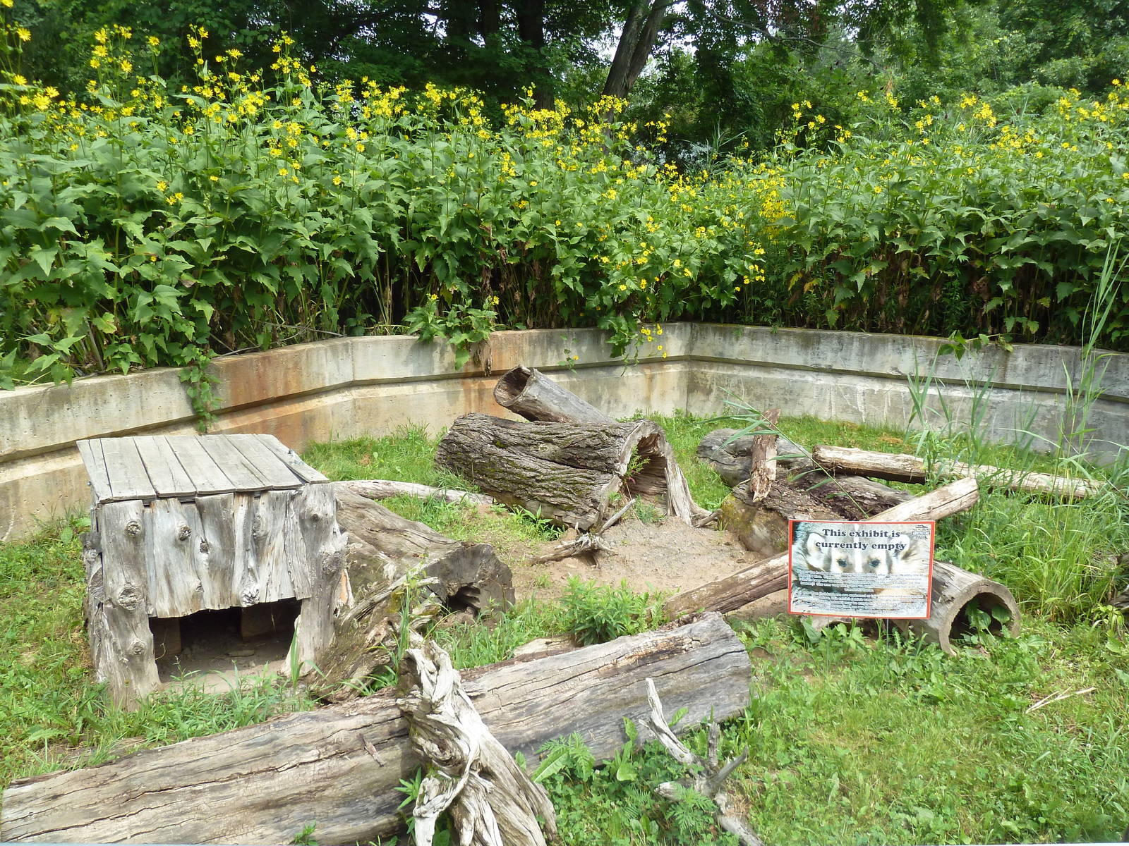 American Badger Exhibit (currently empty)