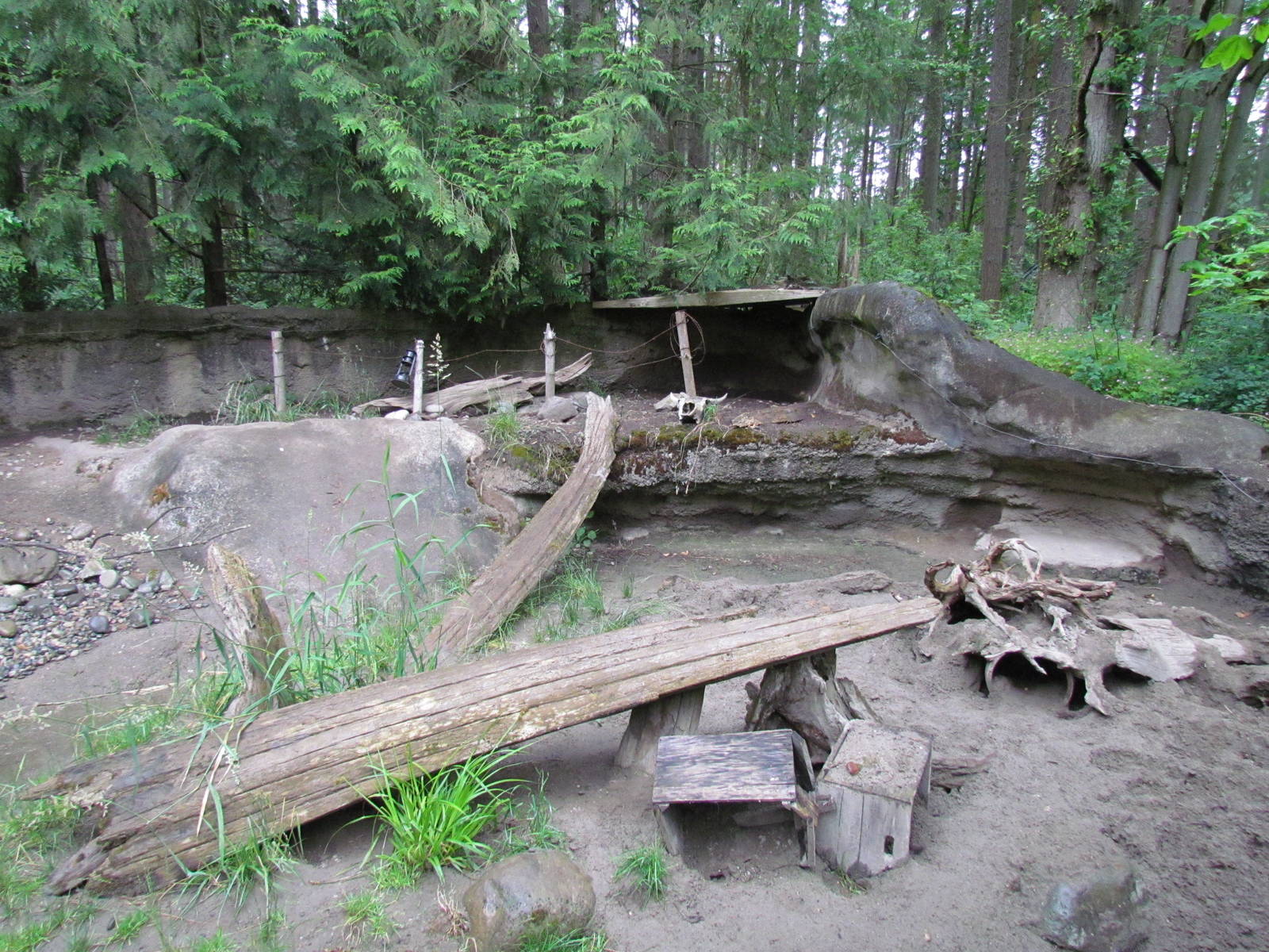 American Badger Exhibit