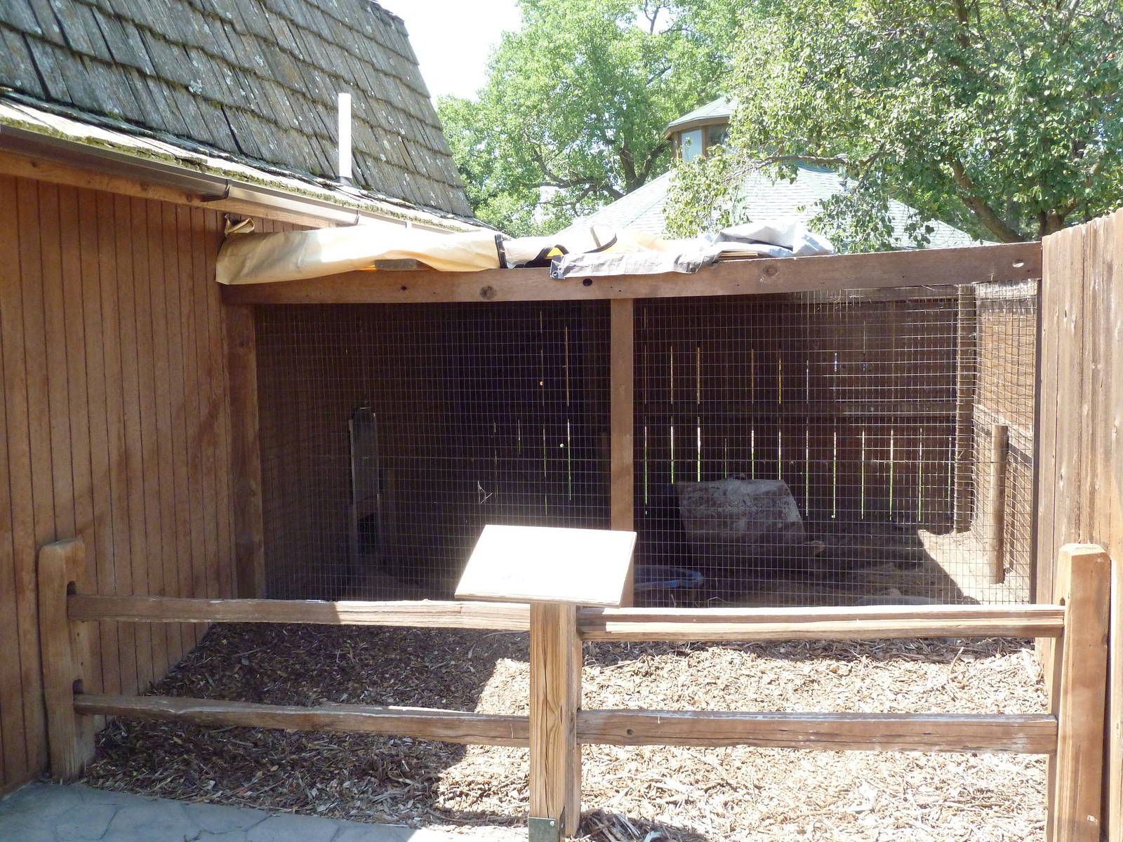 American Badger Exhibit