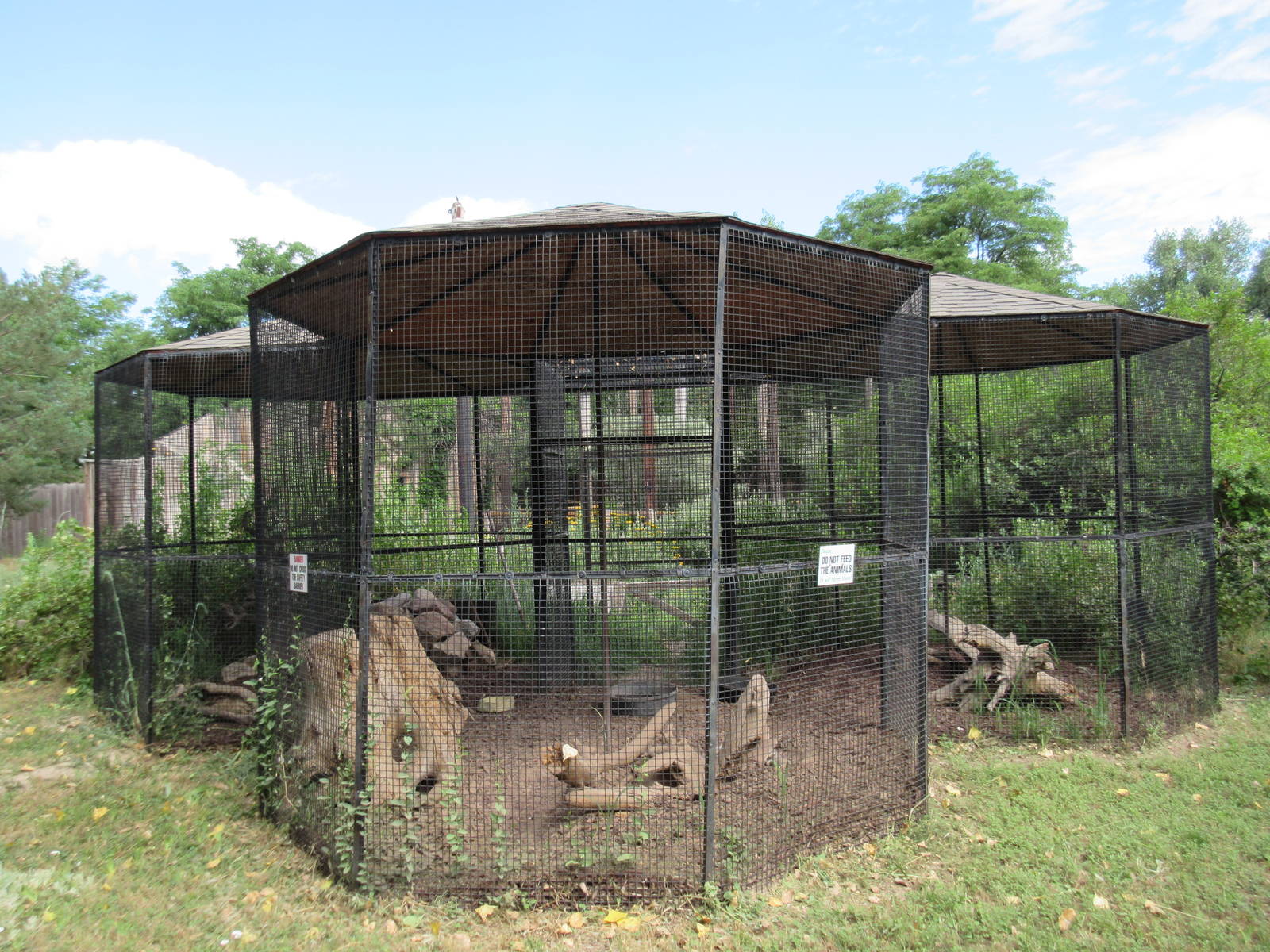 American Badger Exhibit