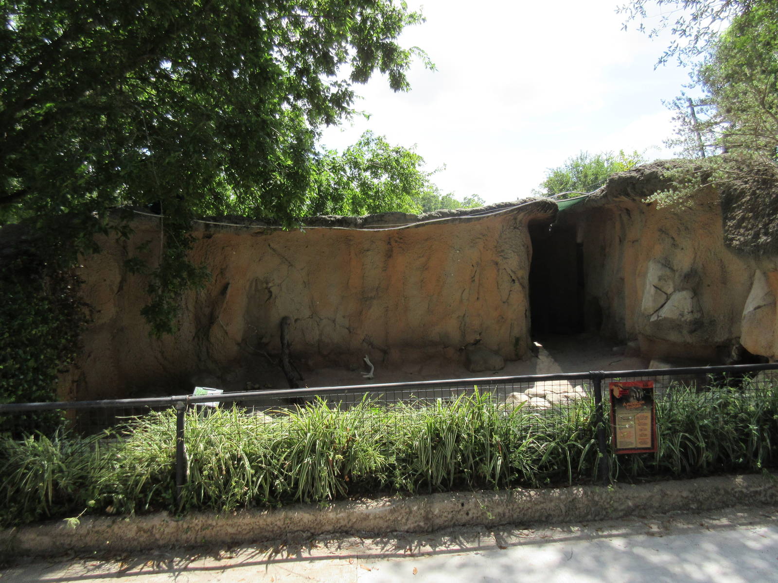 American Badger Exhibit