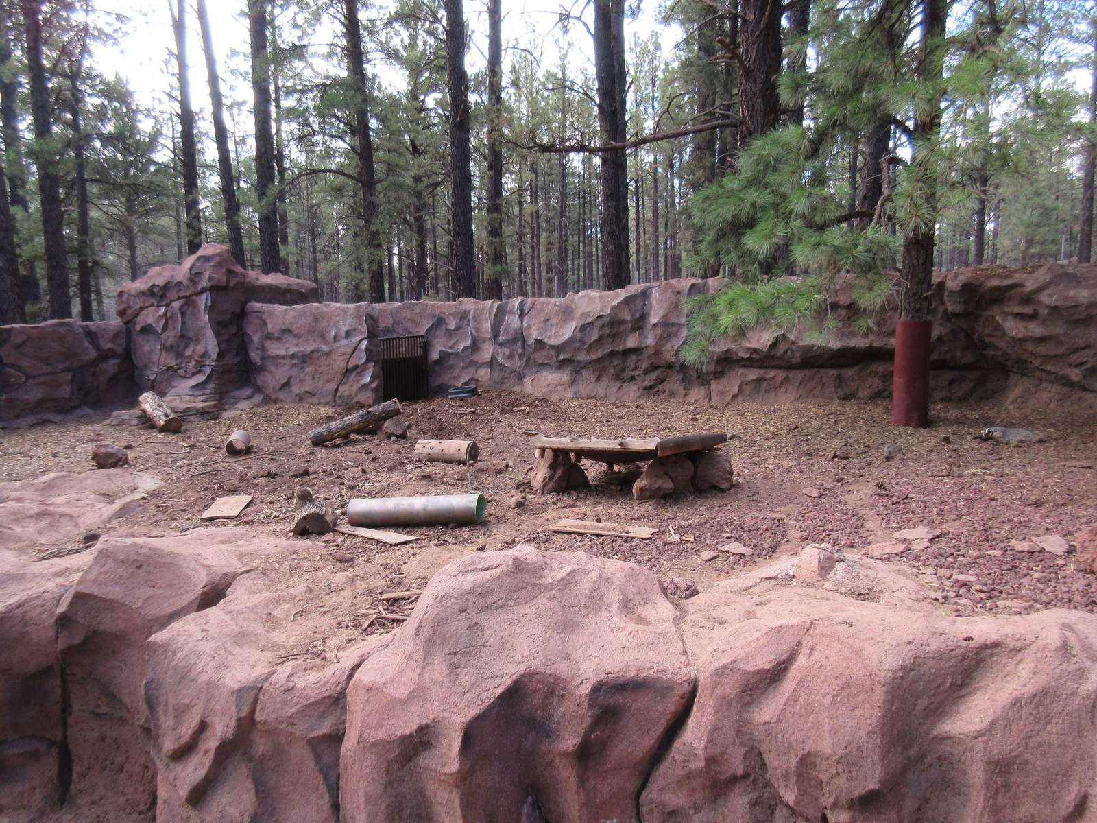 American Badger Exhibit