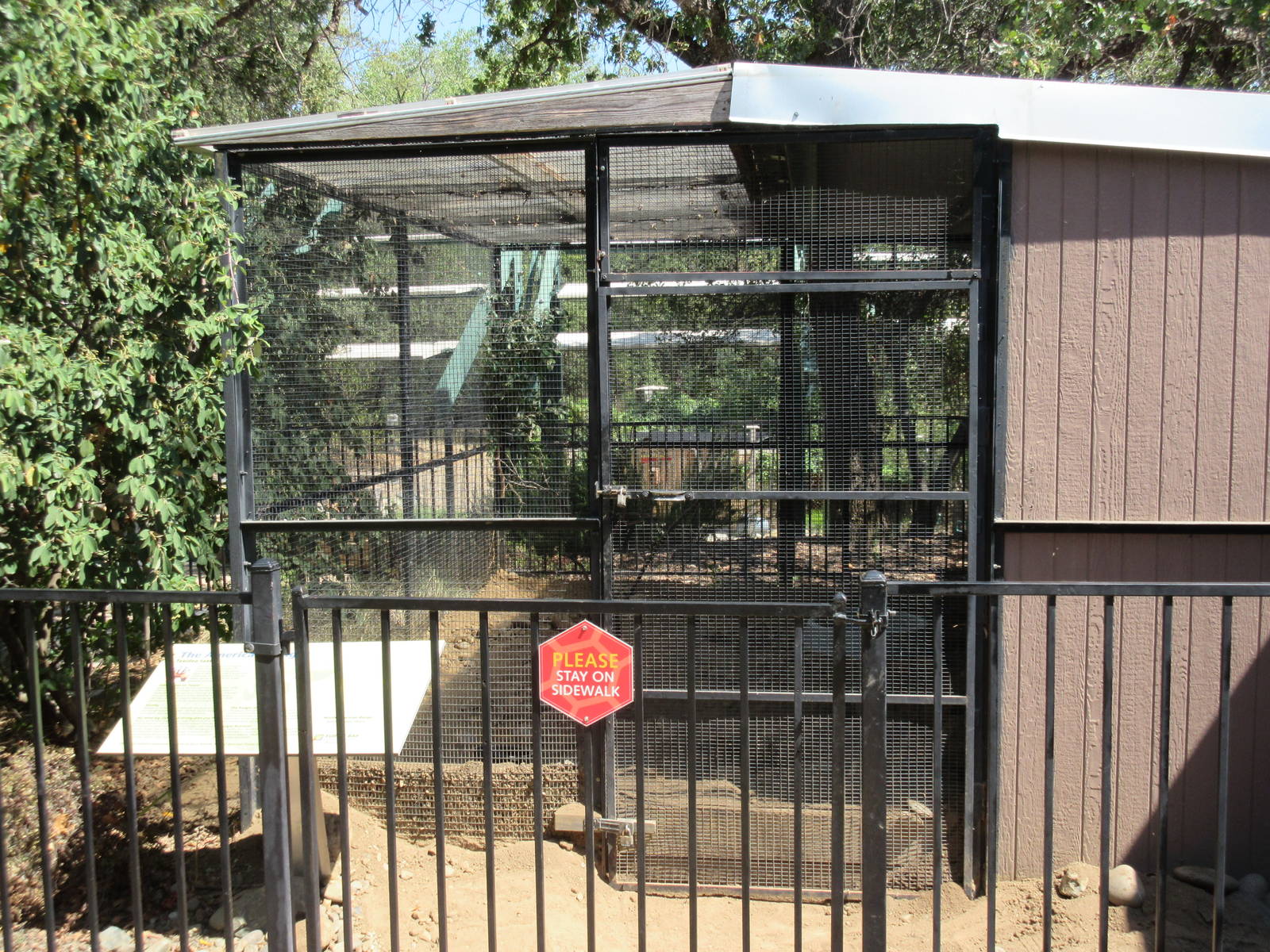 American Badger Exhibit
