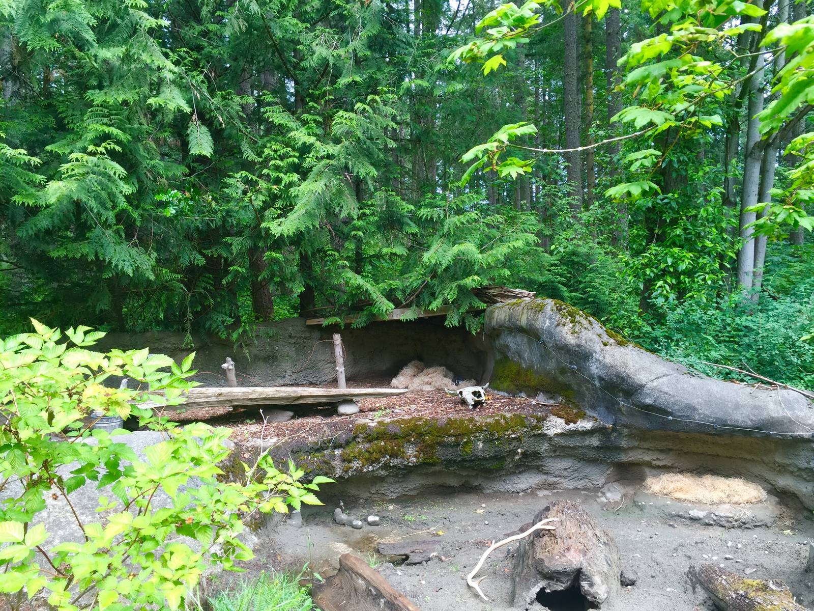 American Badger Exhibit