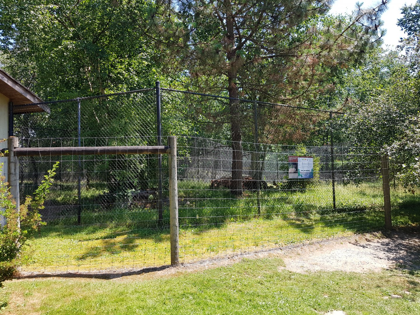 American Badger Exhibit
