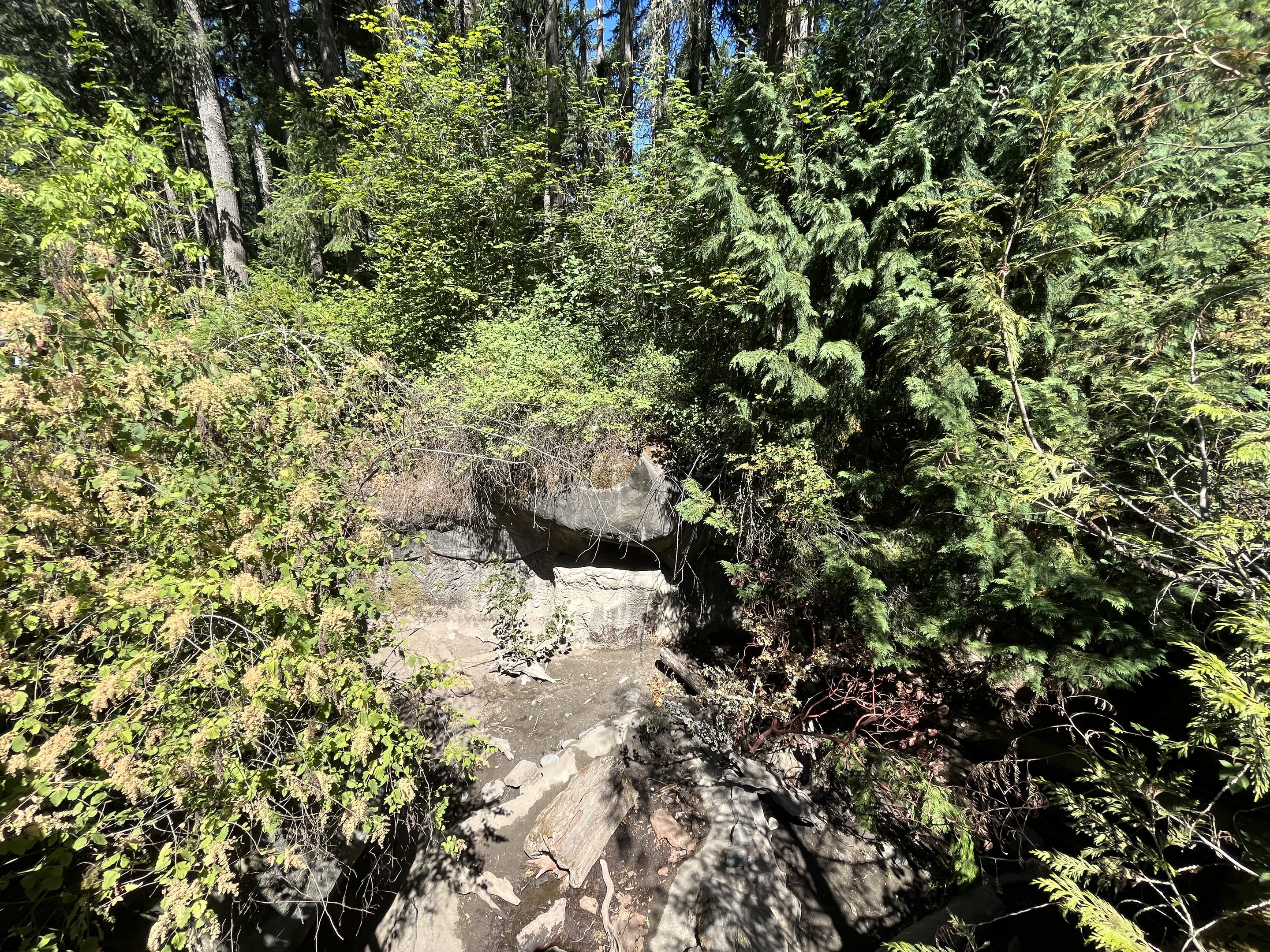 American Badger Exhibit