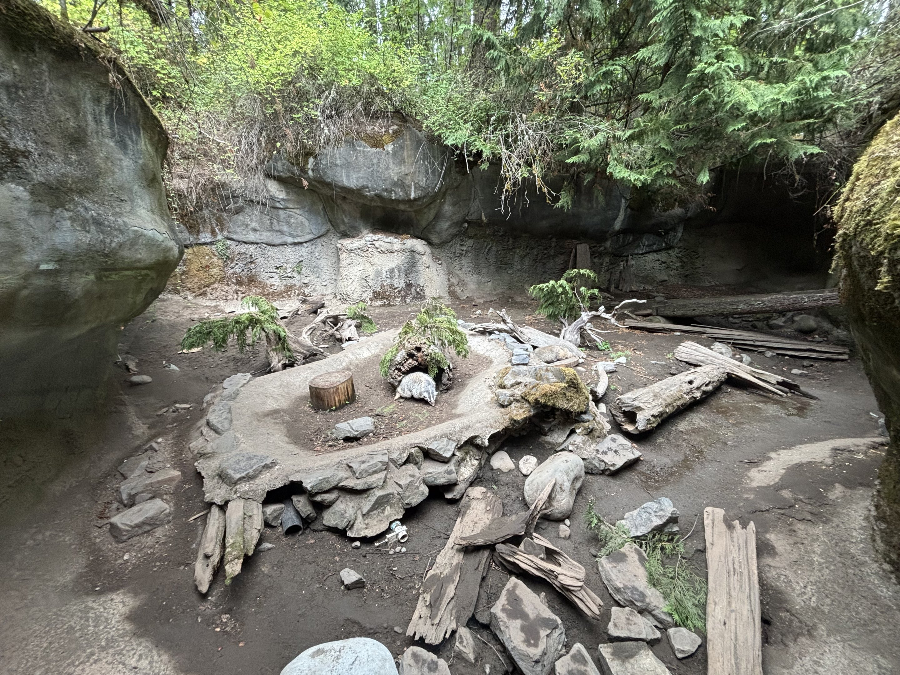 American Badger Exhibit