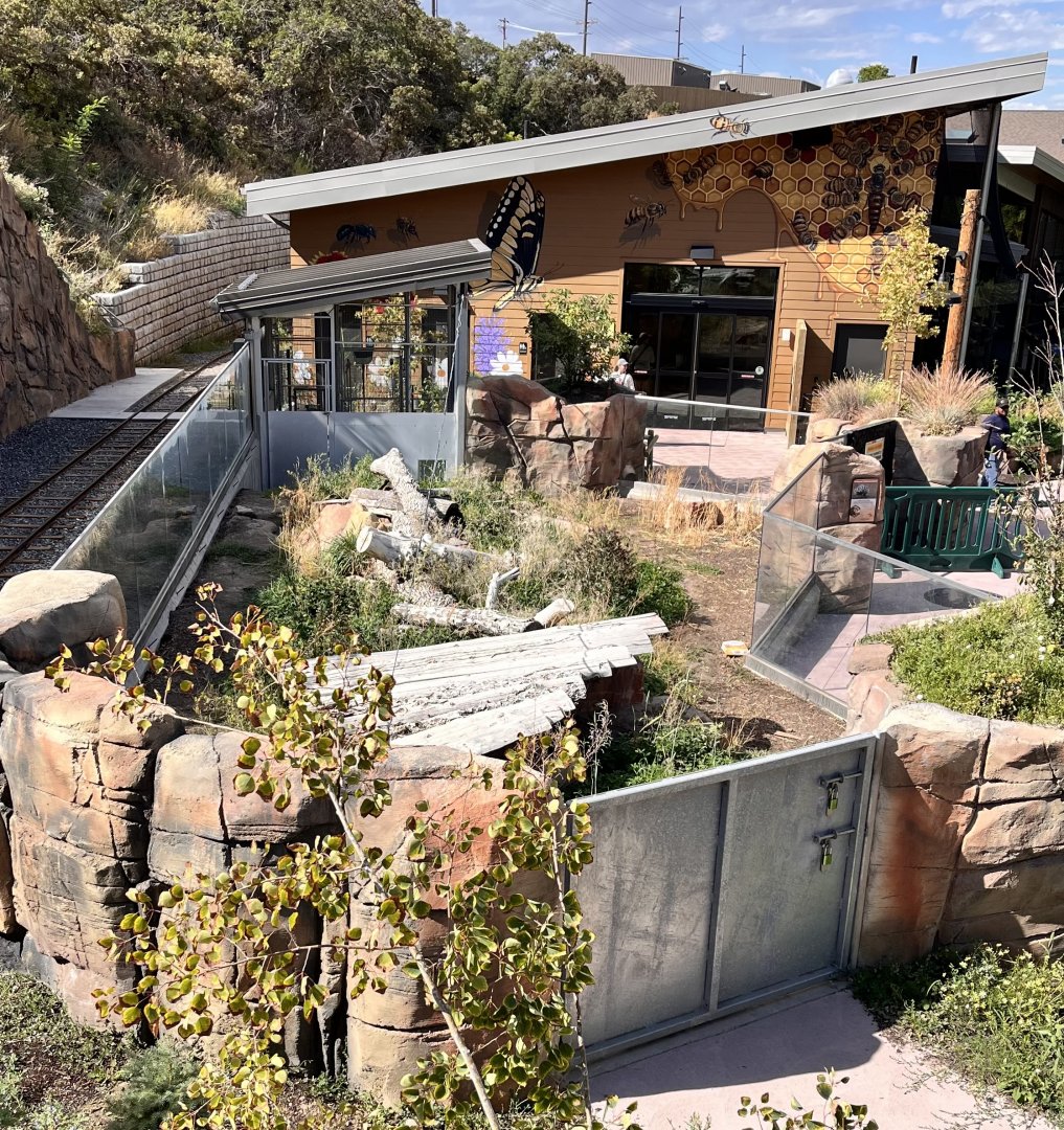 American Badger exhibit