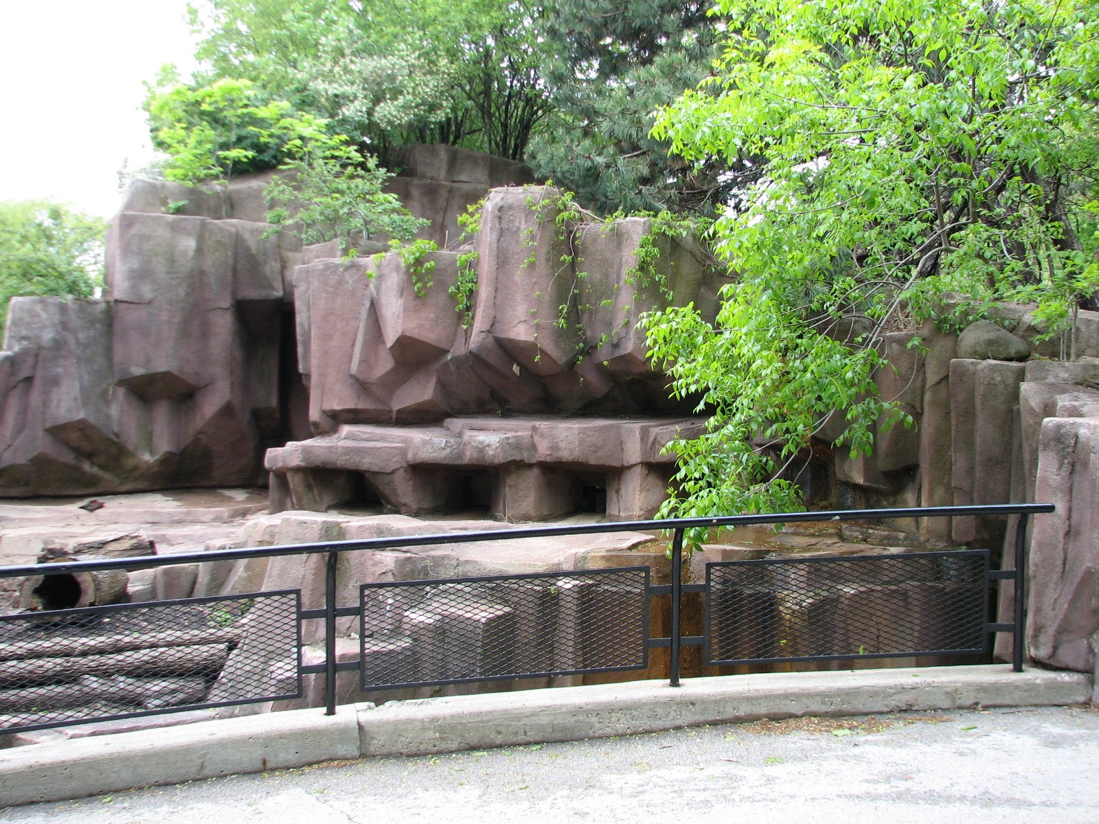 American Badger Exhibit