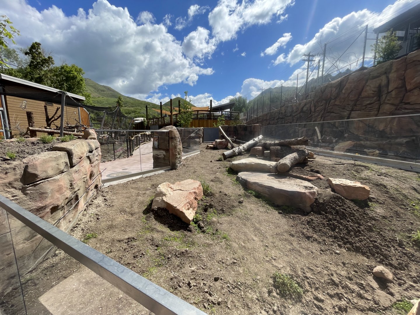 American Badger Habitat