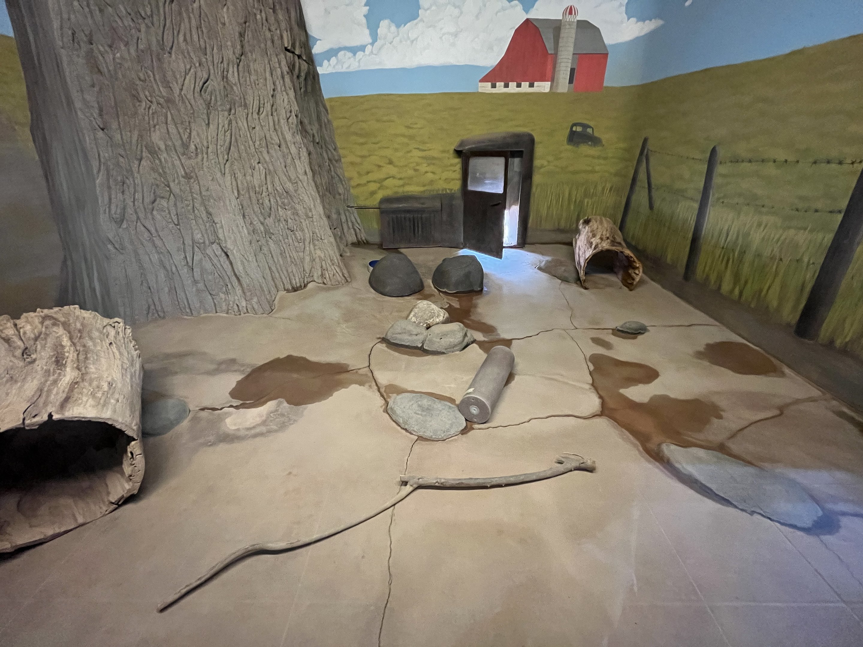 American Badger Indoor Exhibit