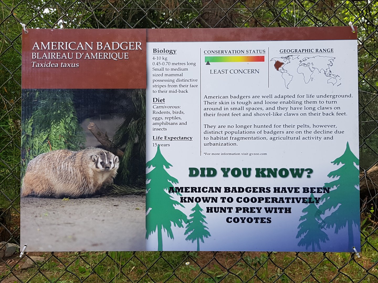 American Badger Sign