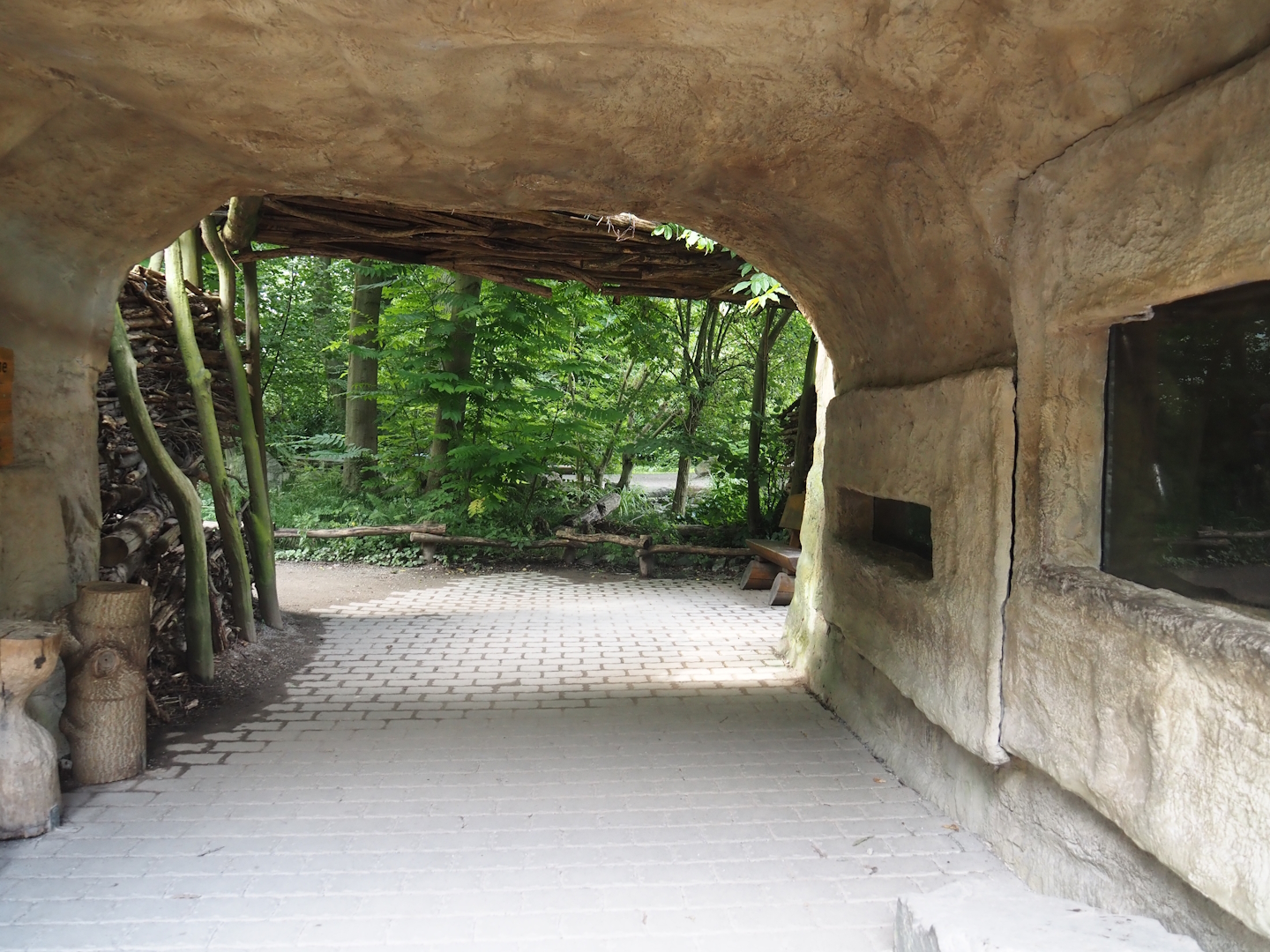 American beaver den viewing area, 2024-08-05