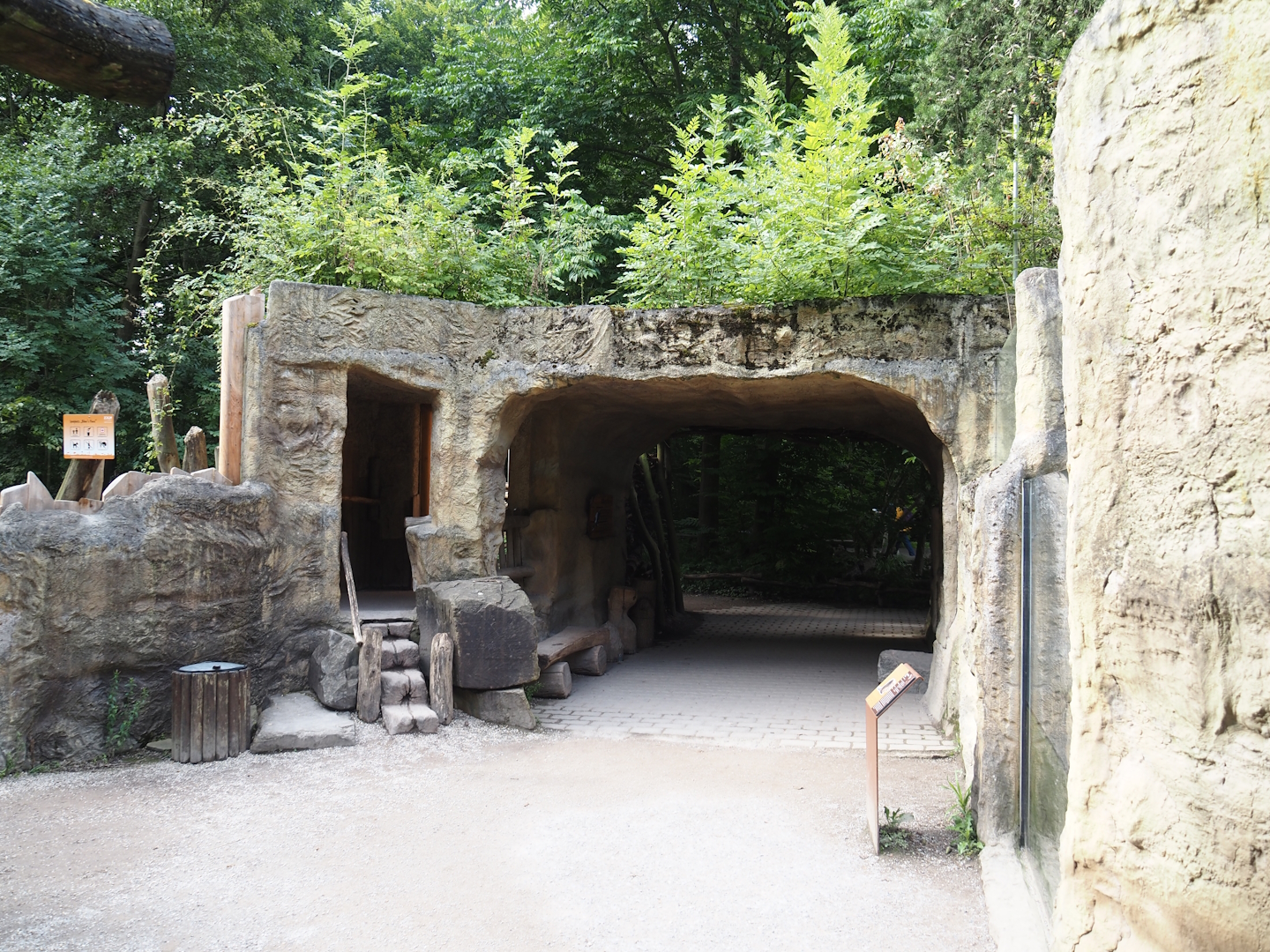 American beaver den viewing area, 2024-08-05