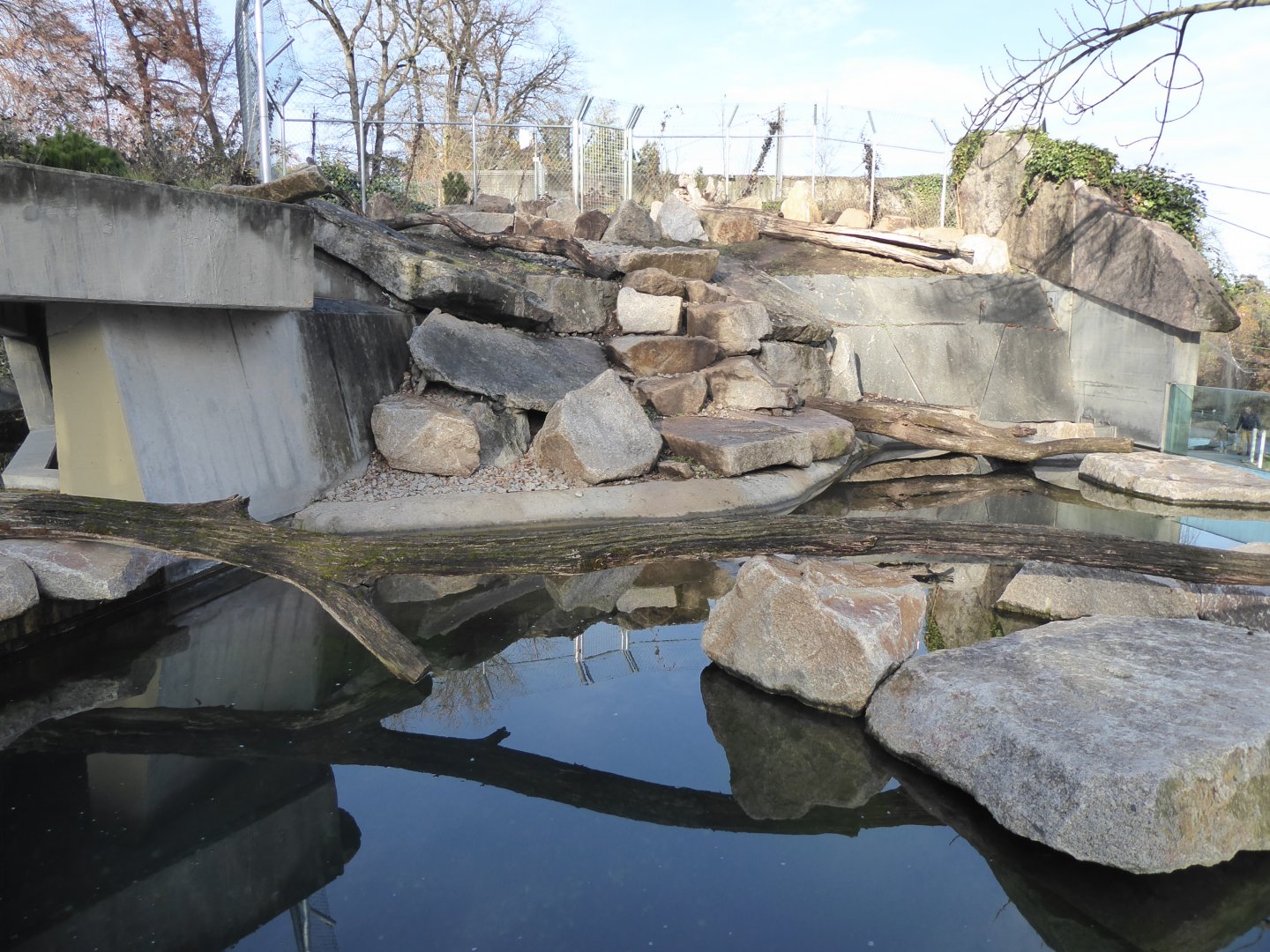 American beaver enclosure 011218