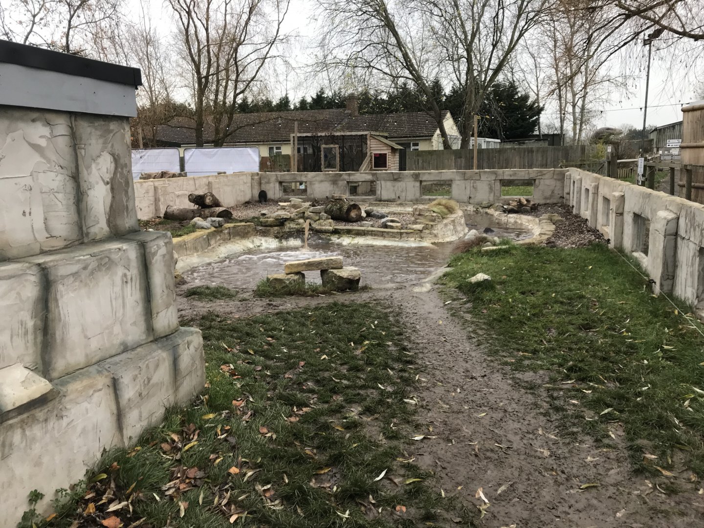 American beaver enclosure 241118