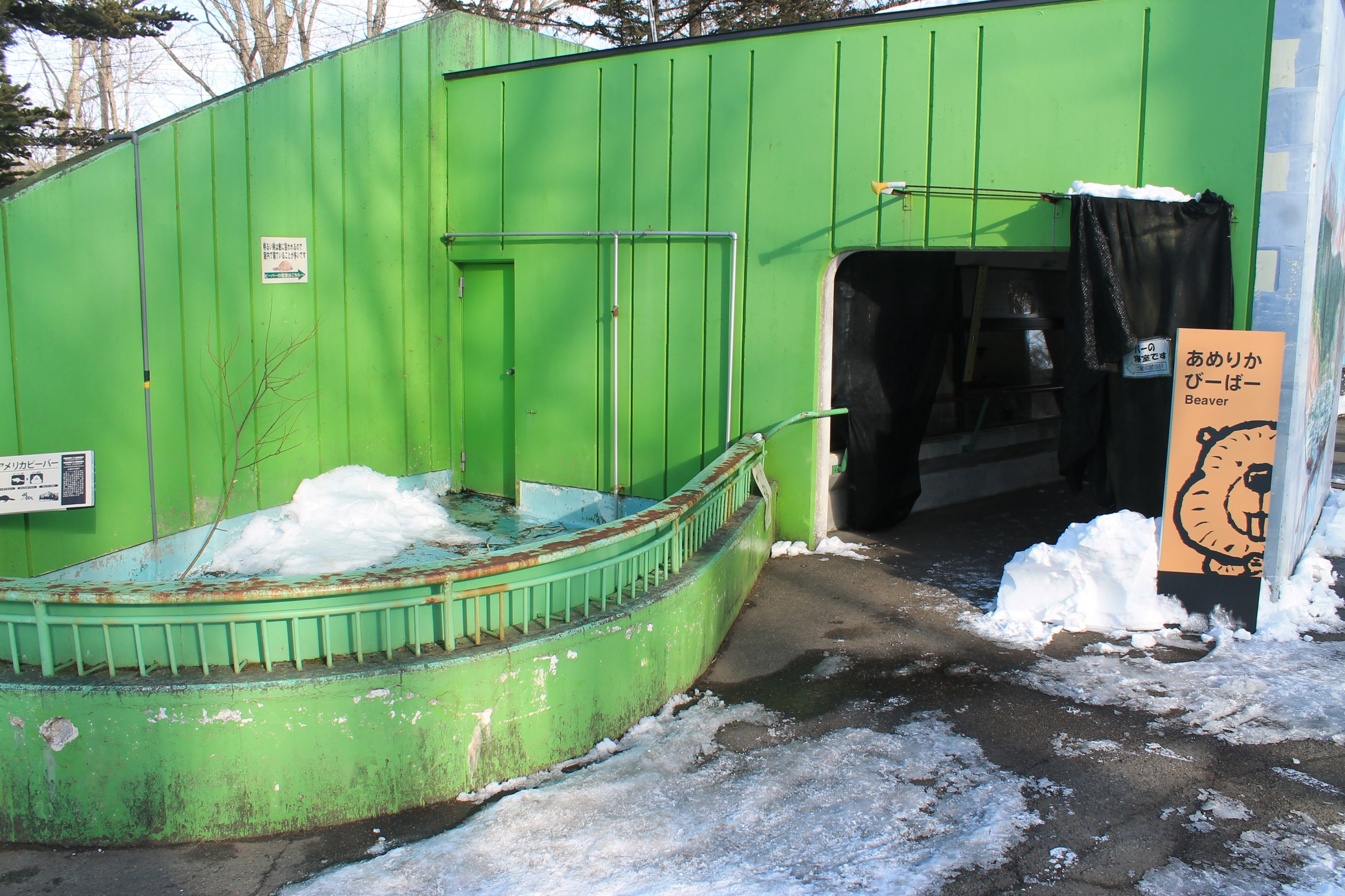 American Beaver enclosure, Kushiro Zoo
