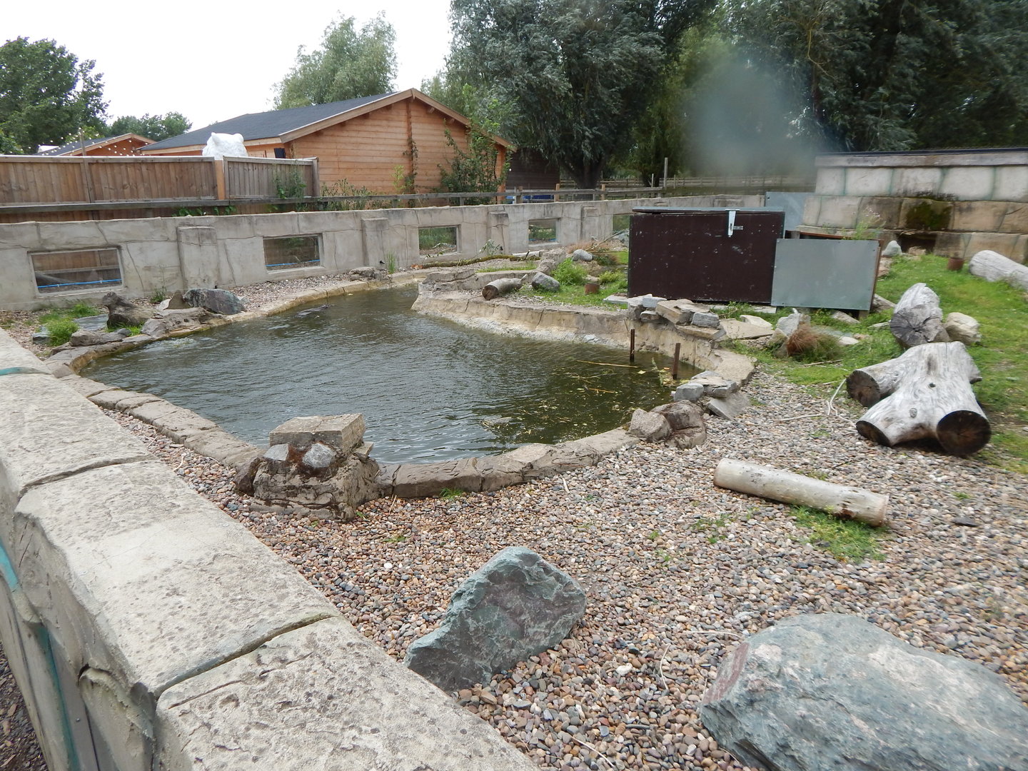 American beaver exhibit 150723