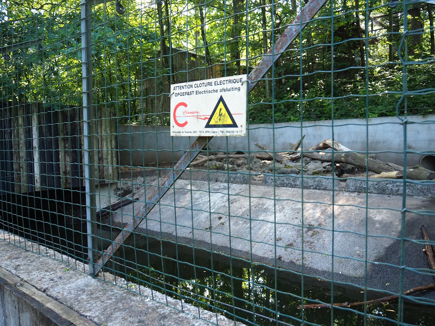 American beaver exhibit, 2023-06-24