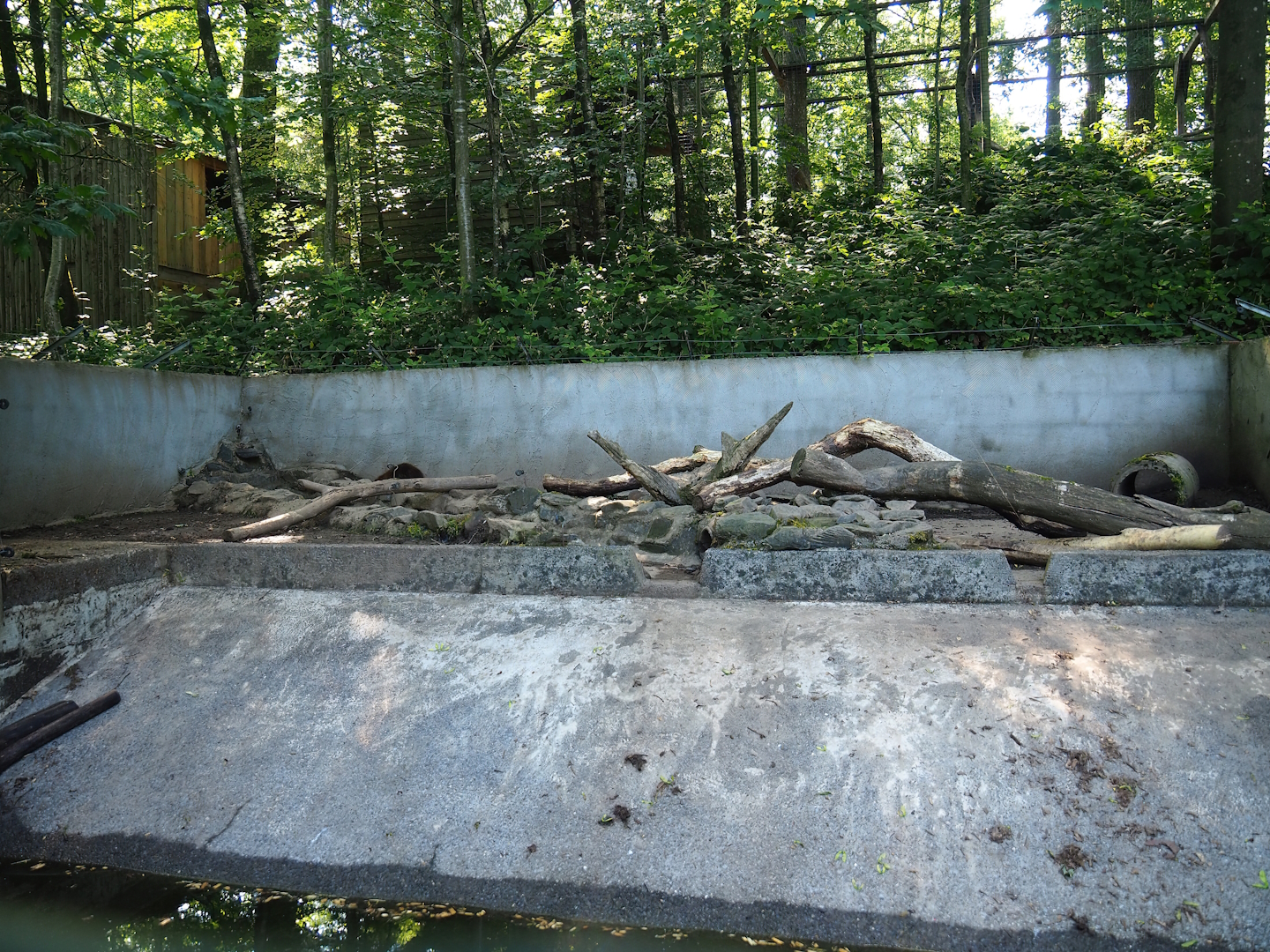 American beaver exhibit, 2023-06-24