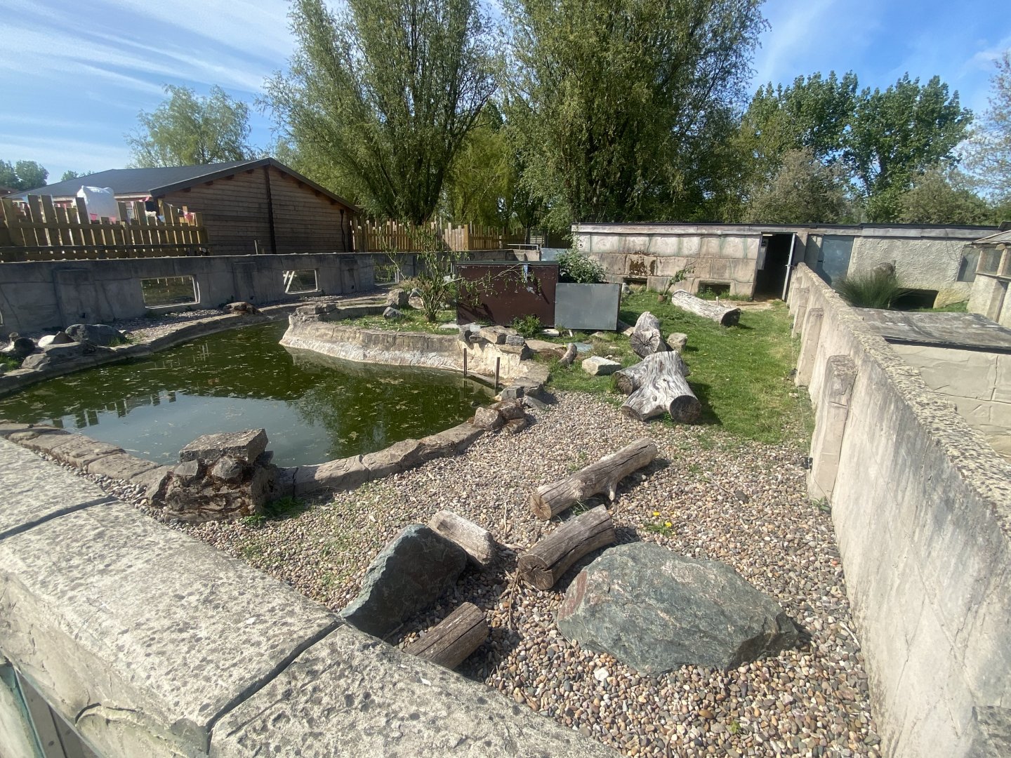 American beaver exhibit 280425