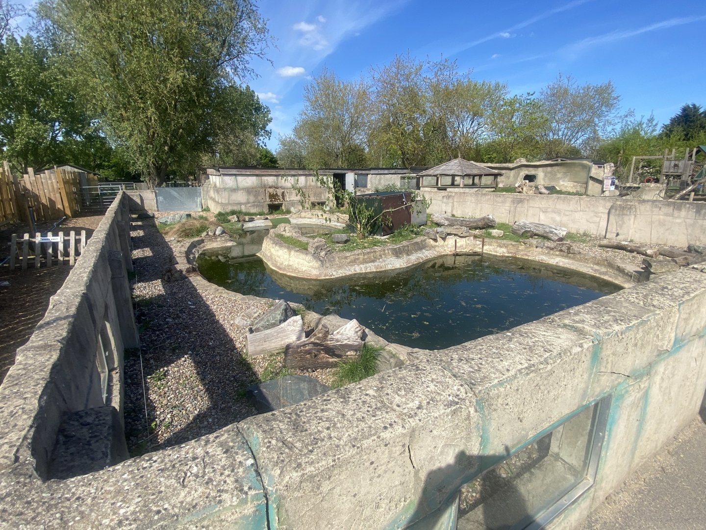 American beaver exhibit 280425