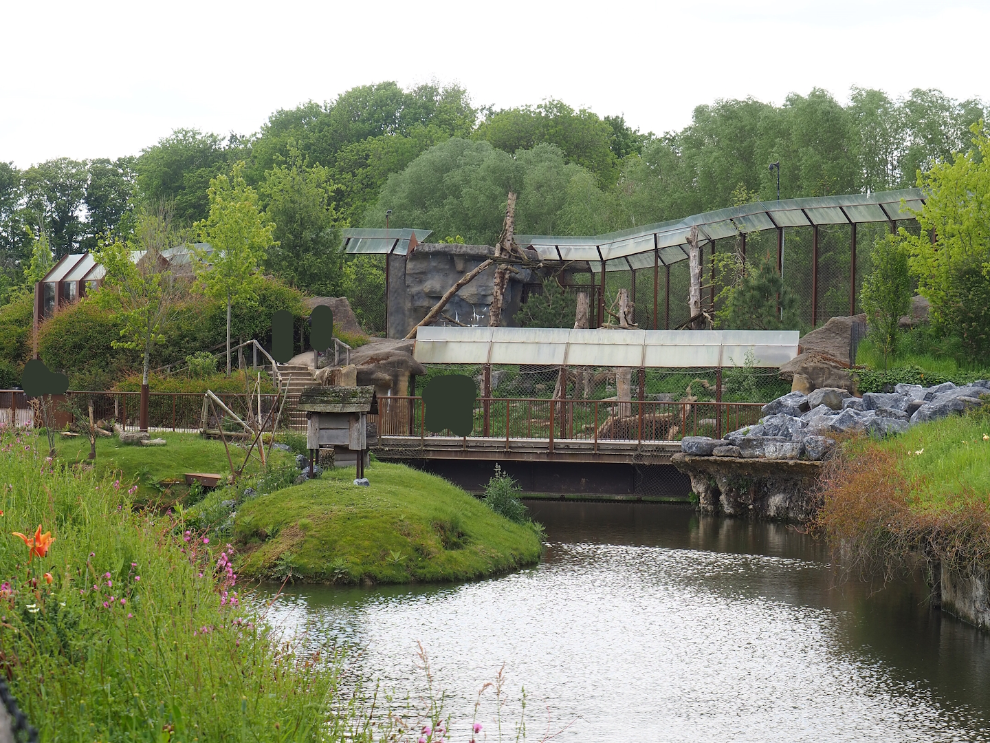 American beaver exhibit and Cougar exhibit, 2023-05-16