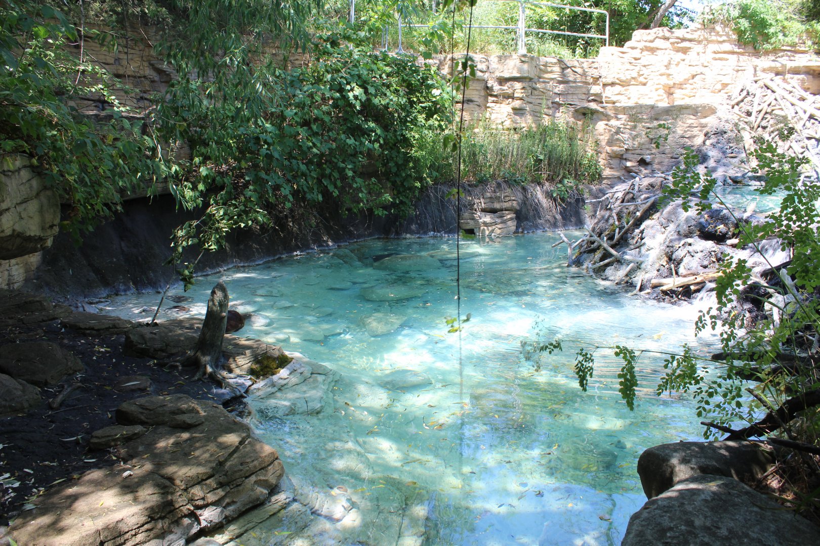 American Beaver Exhibit - Minnesota Trail