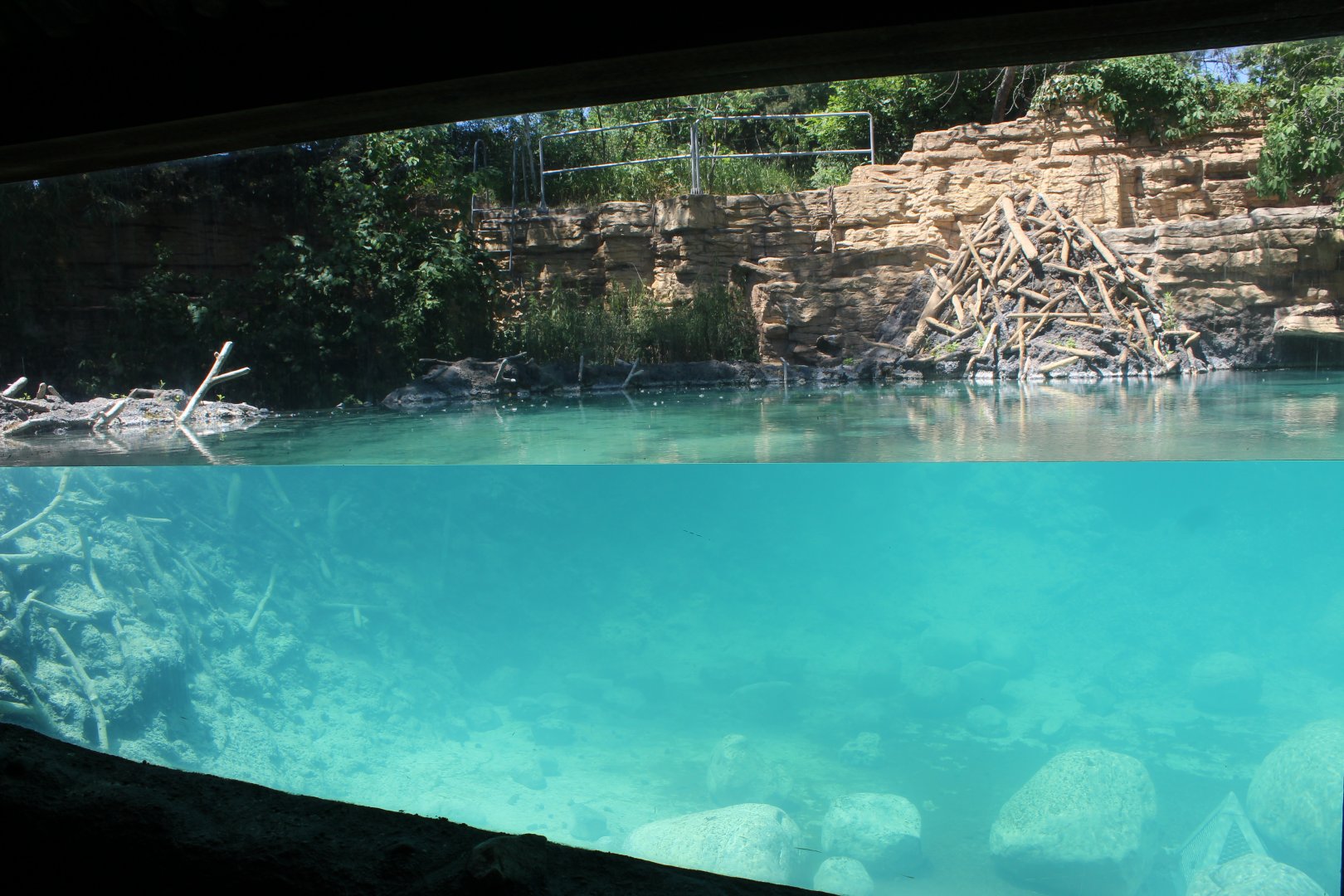 American Beaver Exhibit - Minnesota Trail