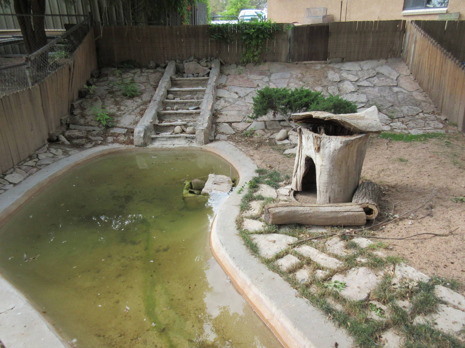 American Beaver Exhibit