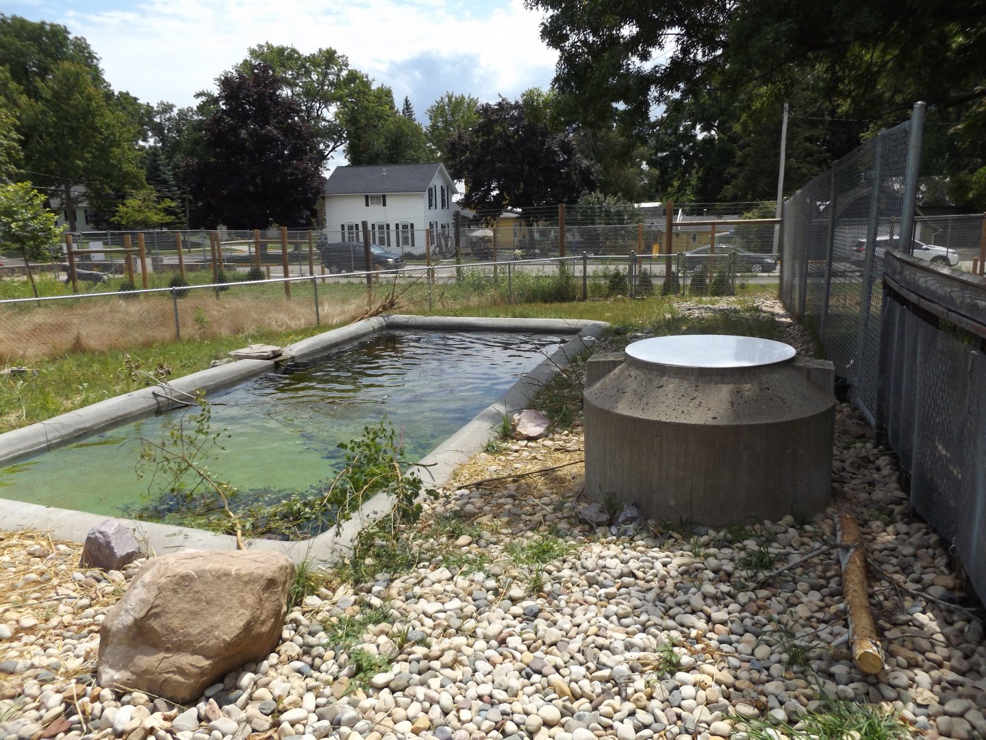 American Beaver Exhibit