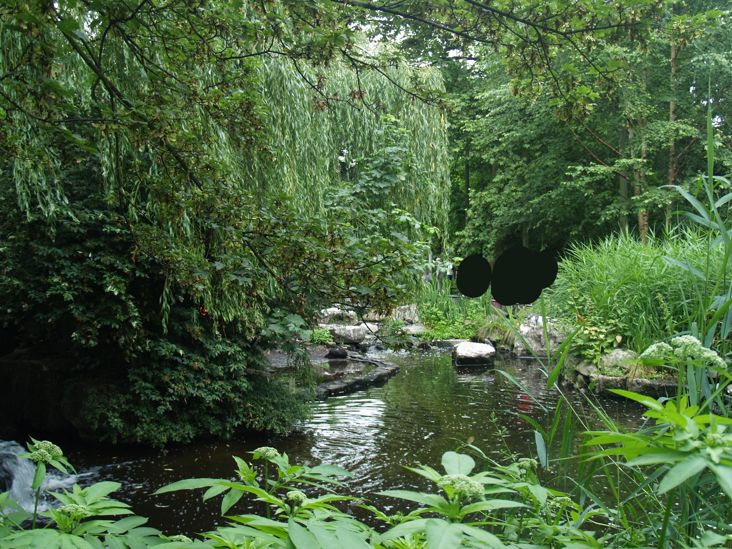 American bird garden, 2006-07-08