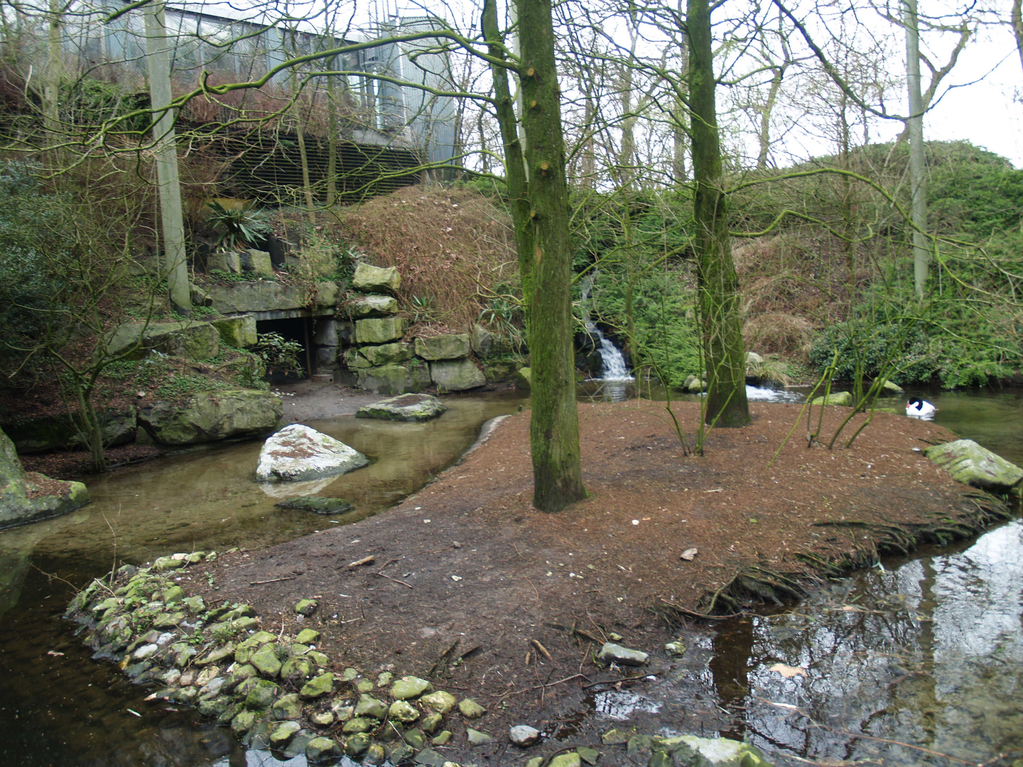 American bird garden, 2008-03-01