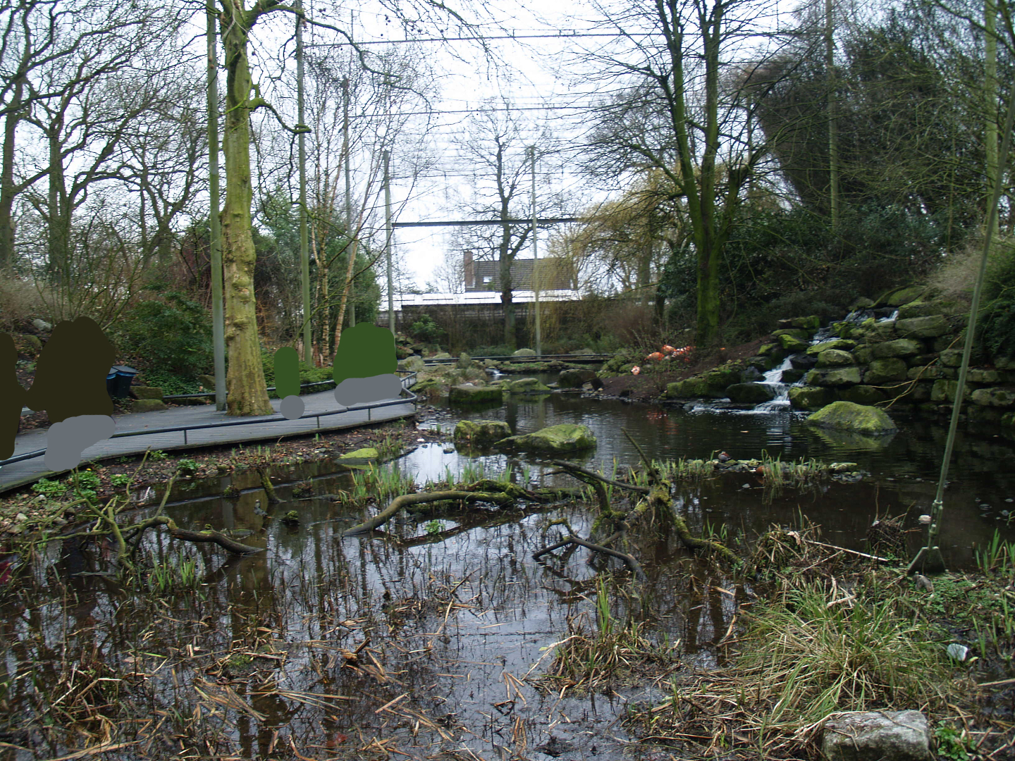 American bird garden, 2008-03-01