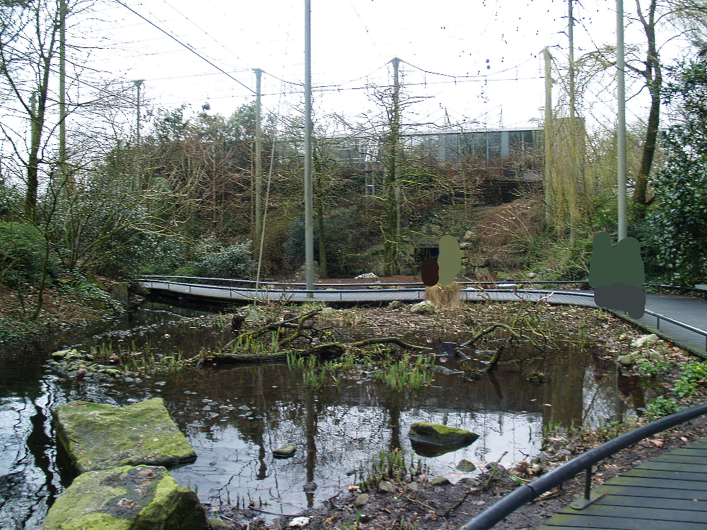 American bird garden, 2008-03-01