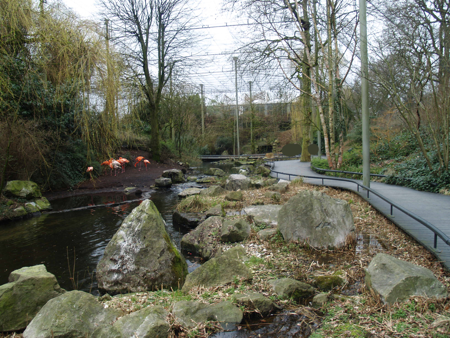 American bird garden, 2008-03-01