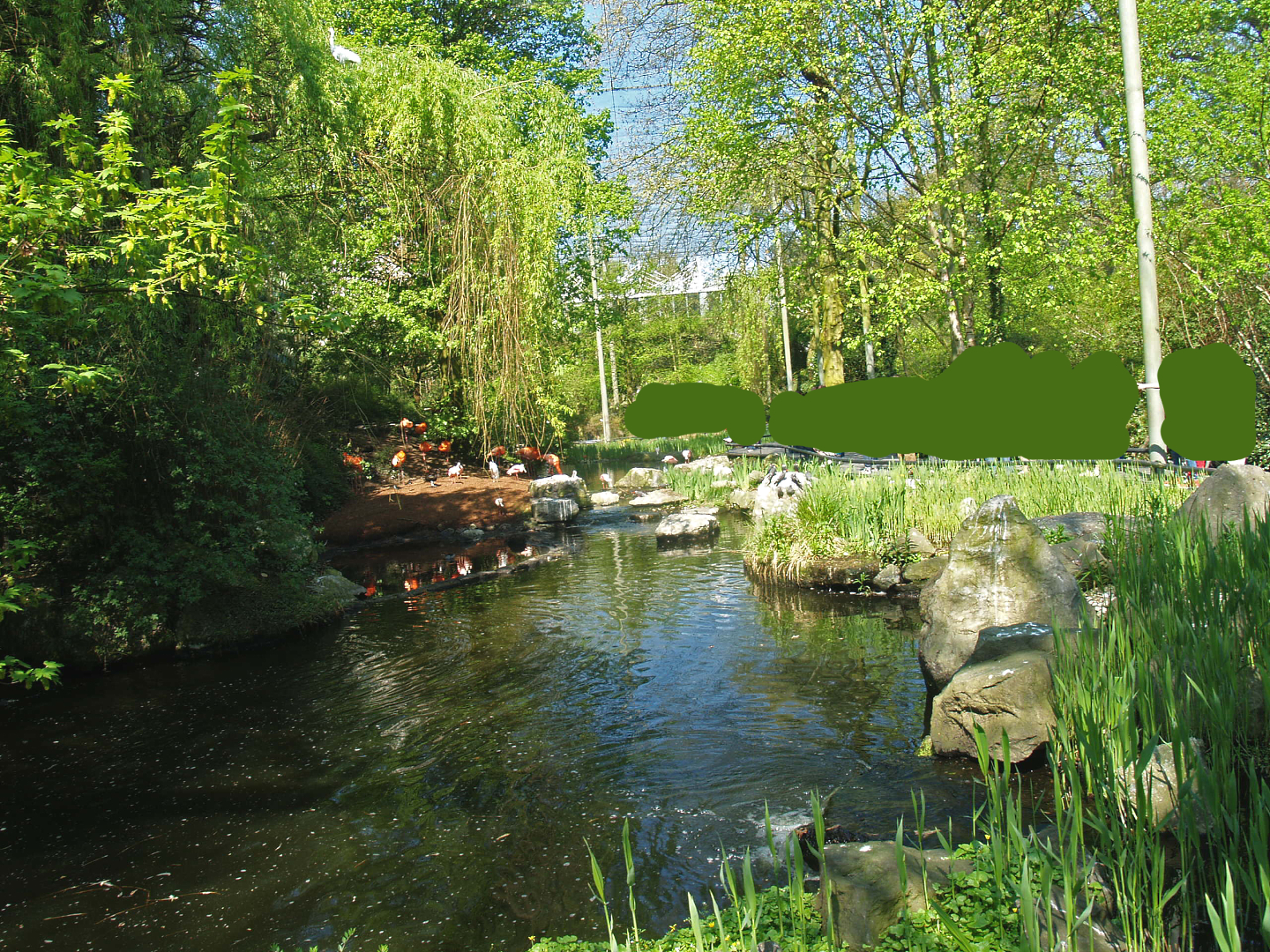 American bird garden, 2009-04-19