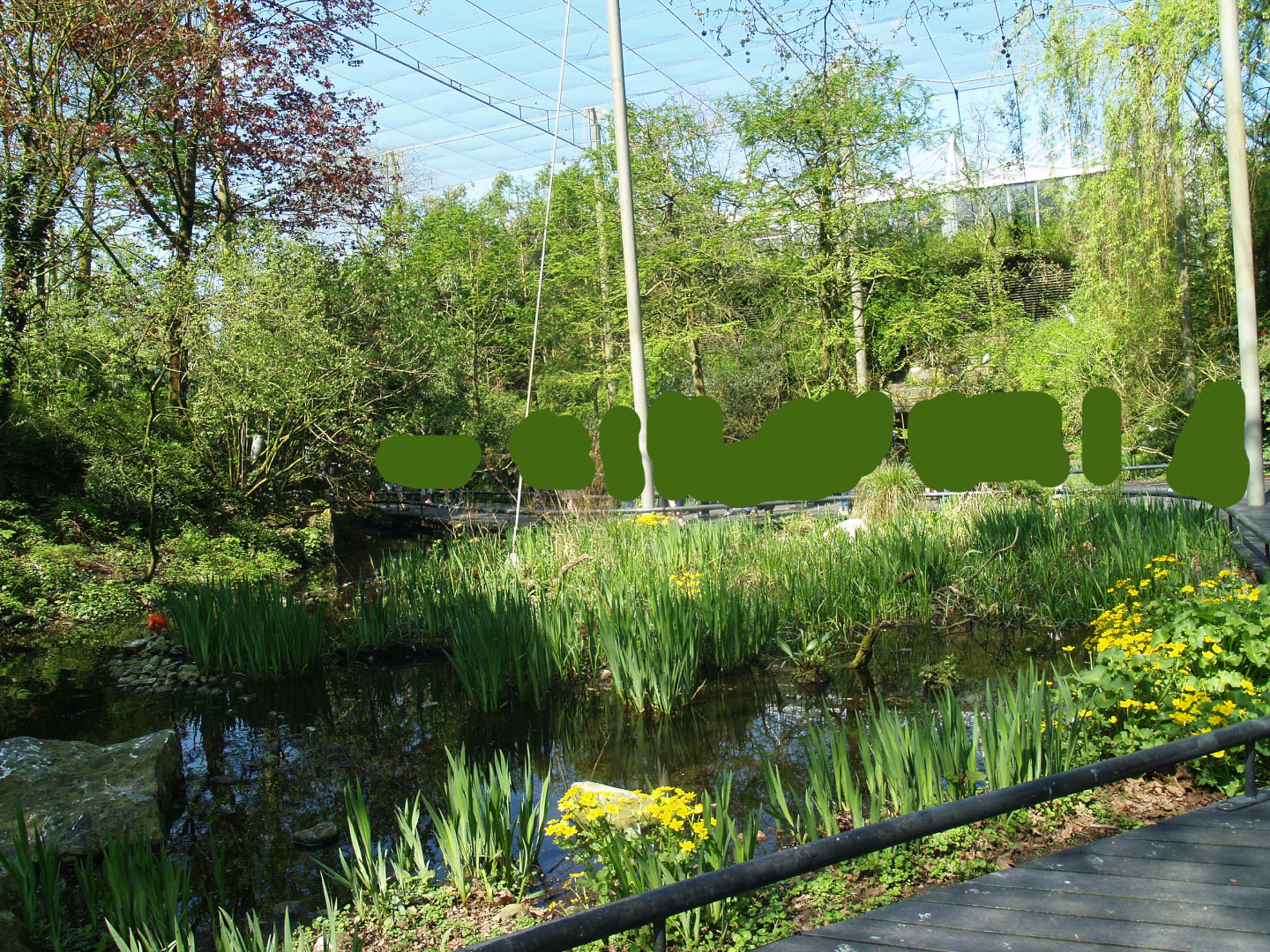 American bird garden, 2009-04-19