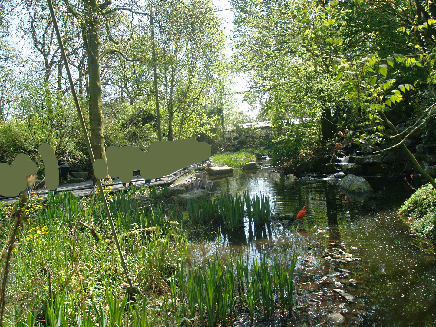 American bird garden, 2009-04-19