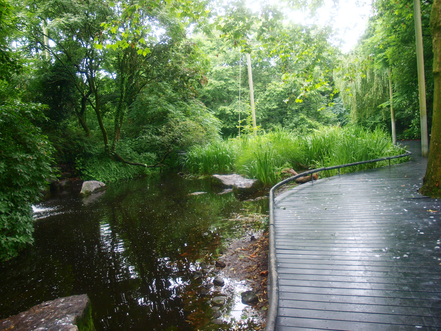 American bird garden, 2015-07-19