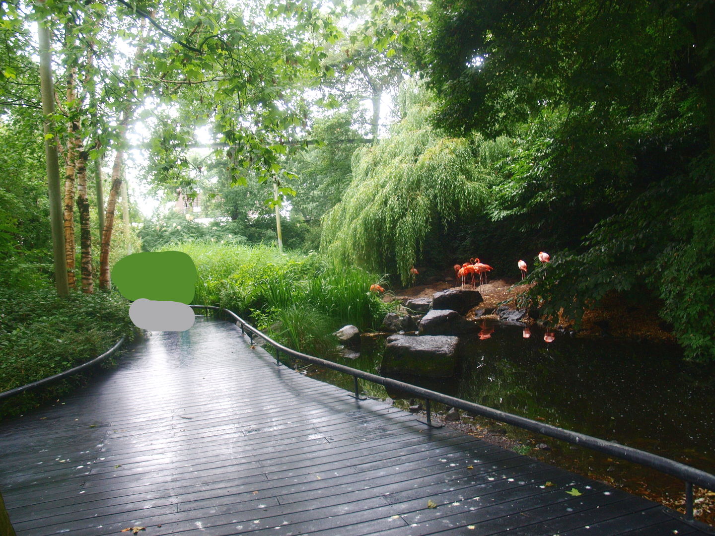 American bird garden, 2015-07-19