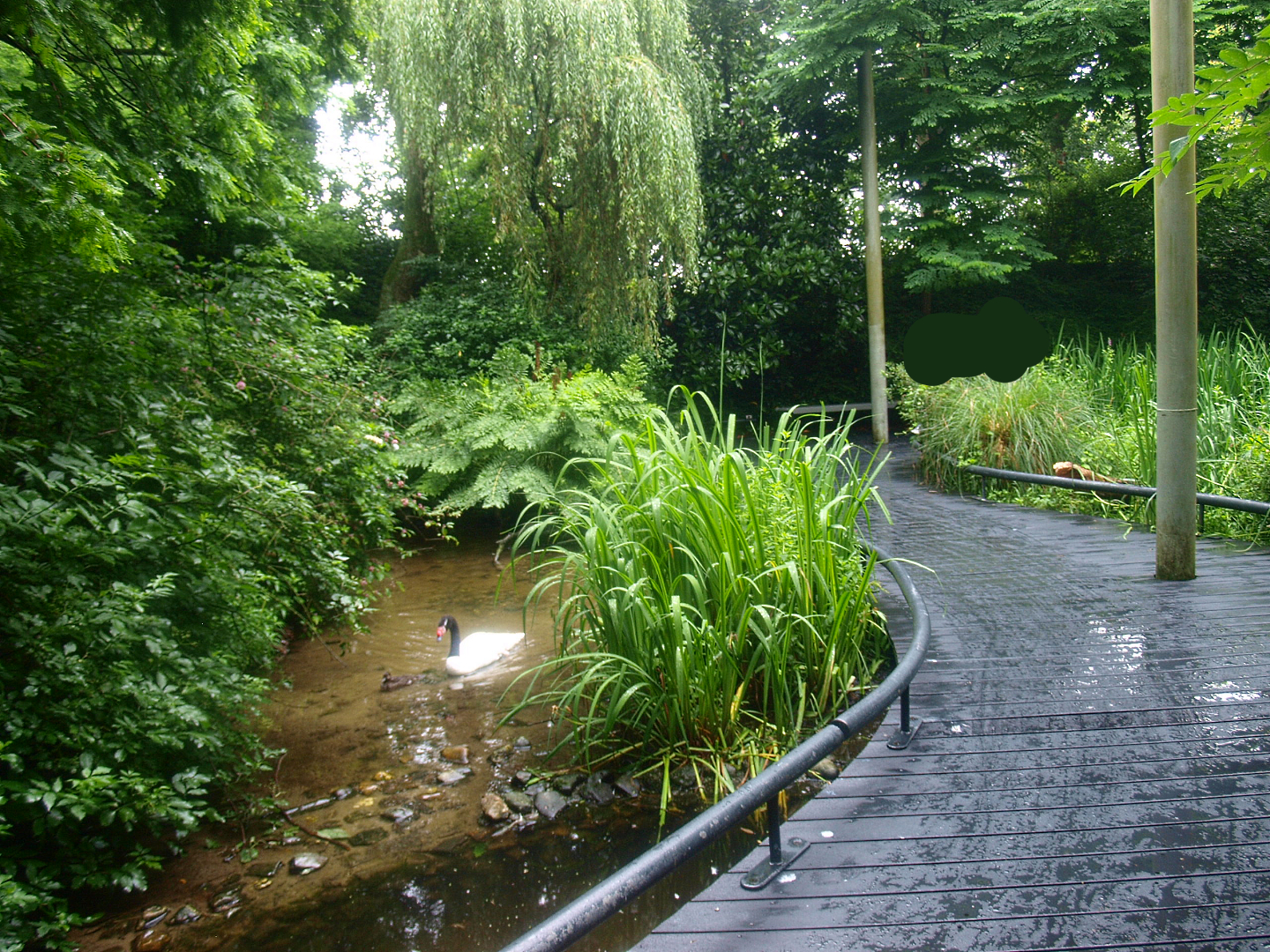 American bird garden, 2015-07-19