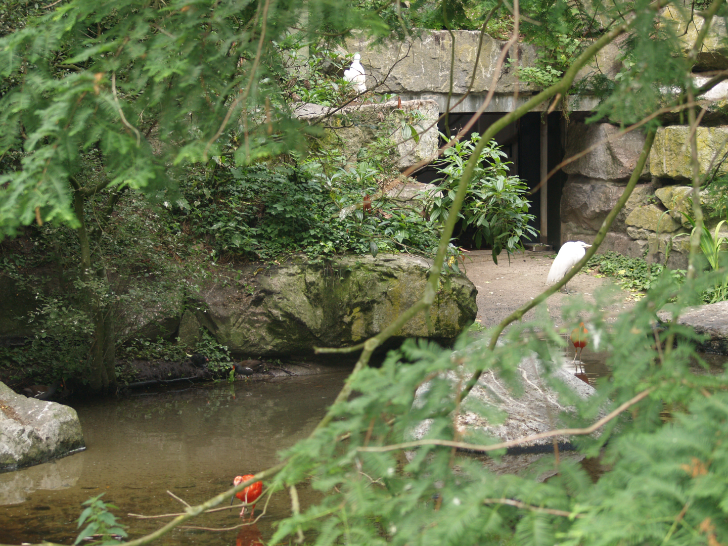 American bird garden - Access to indoor bird housing, 2006-07-08