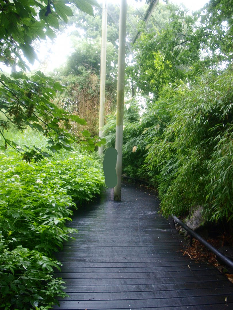 American bird garden - Walkway, 2015-07-19