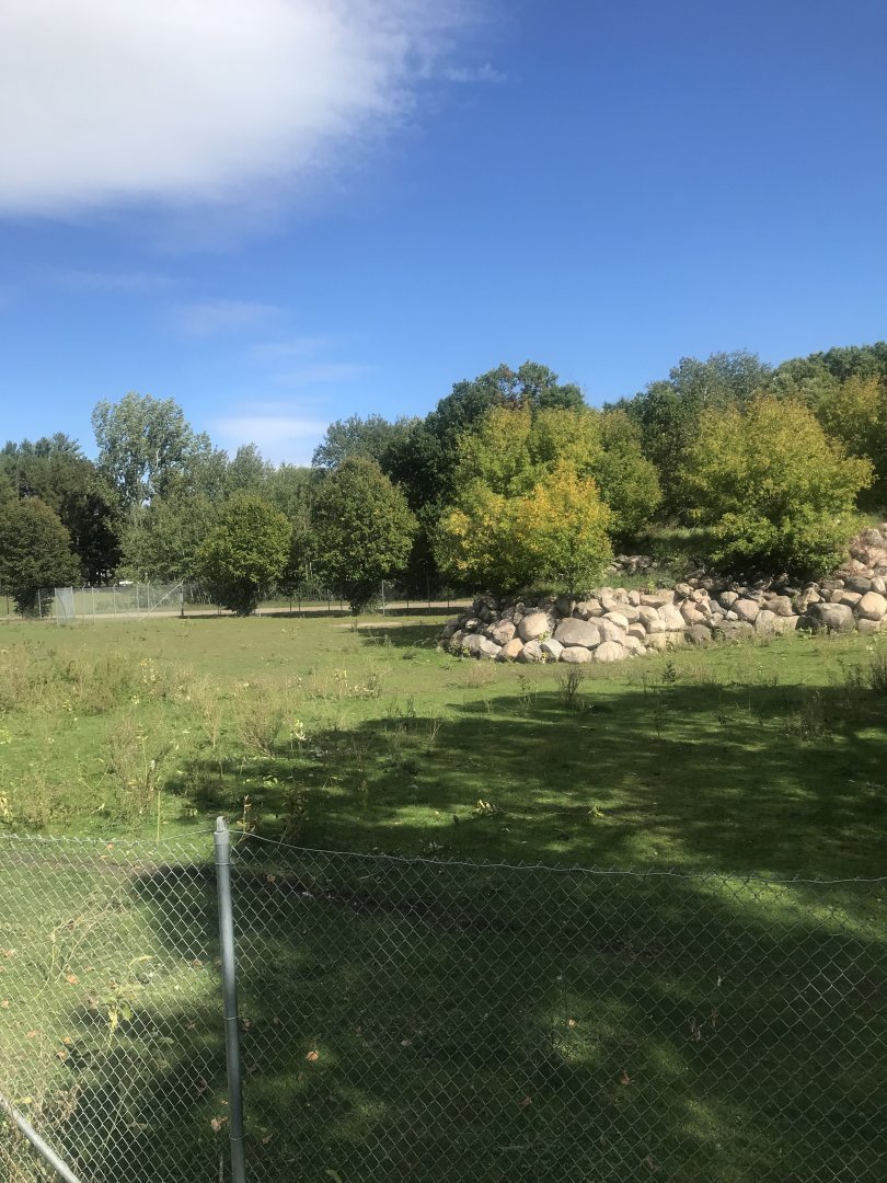 American Bison/American Elk Exhibit
