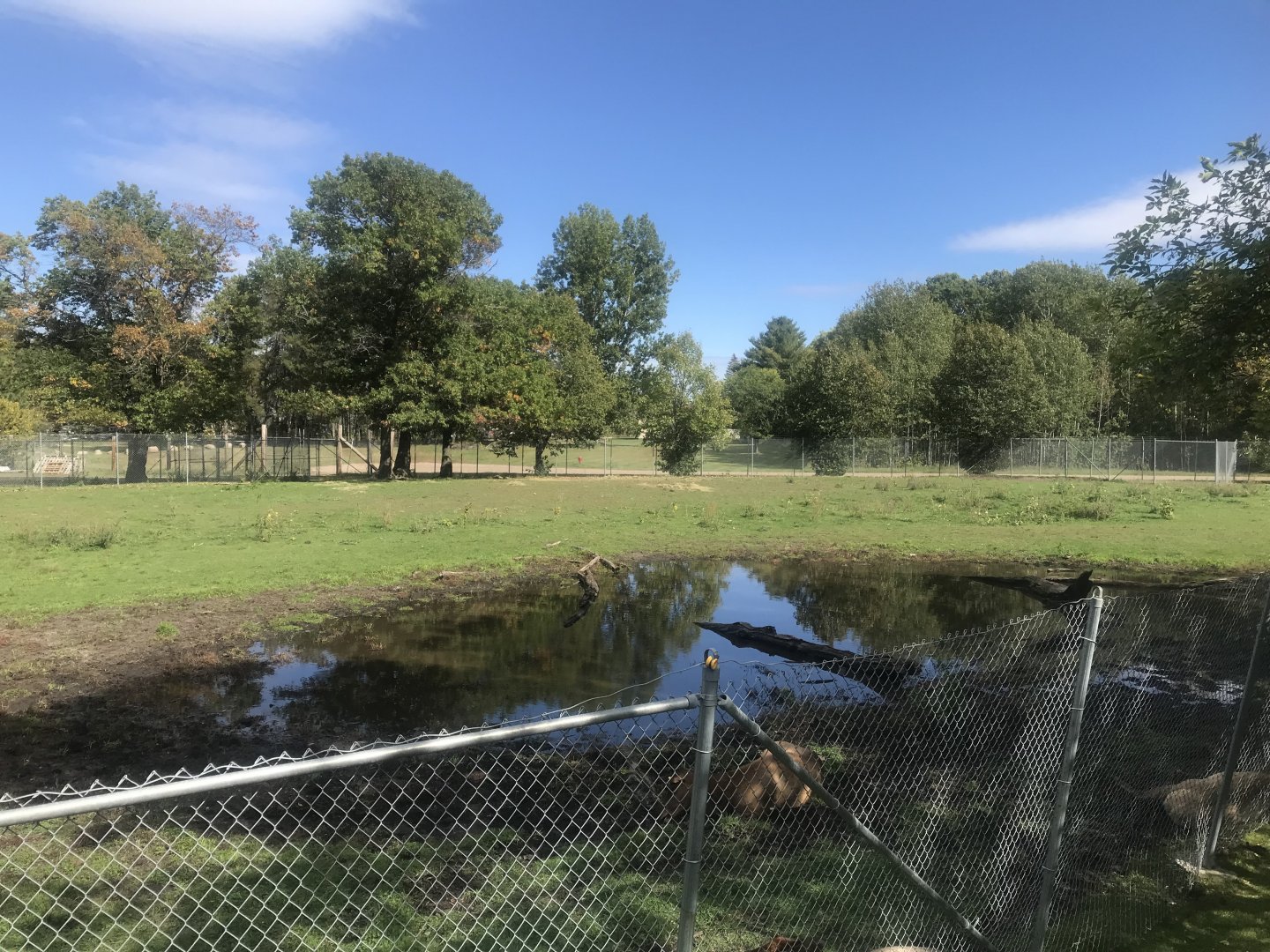 American Bison/American Elk Exhibit