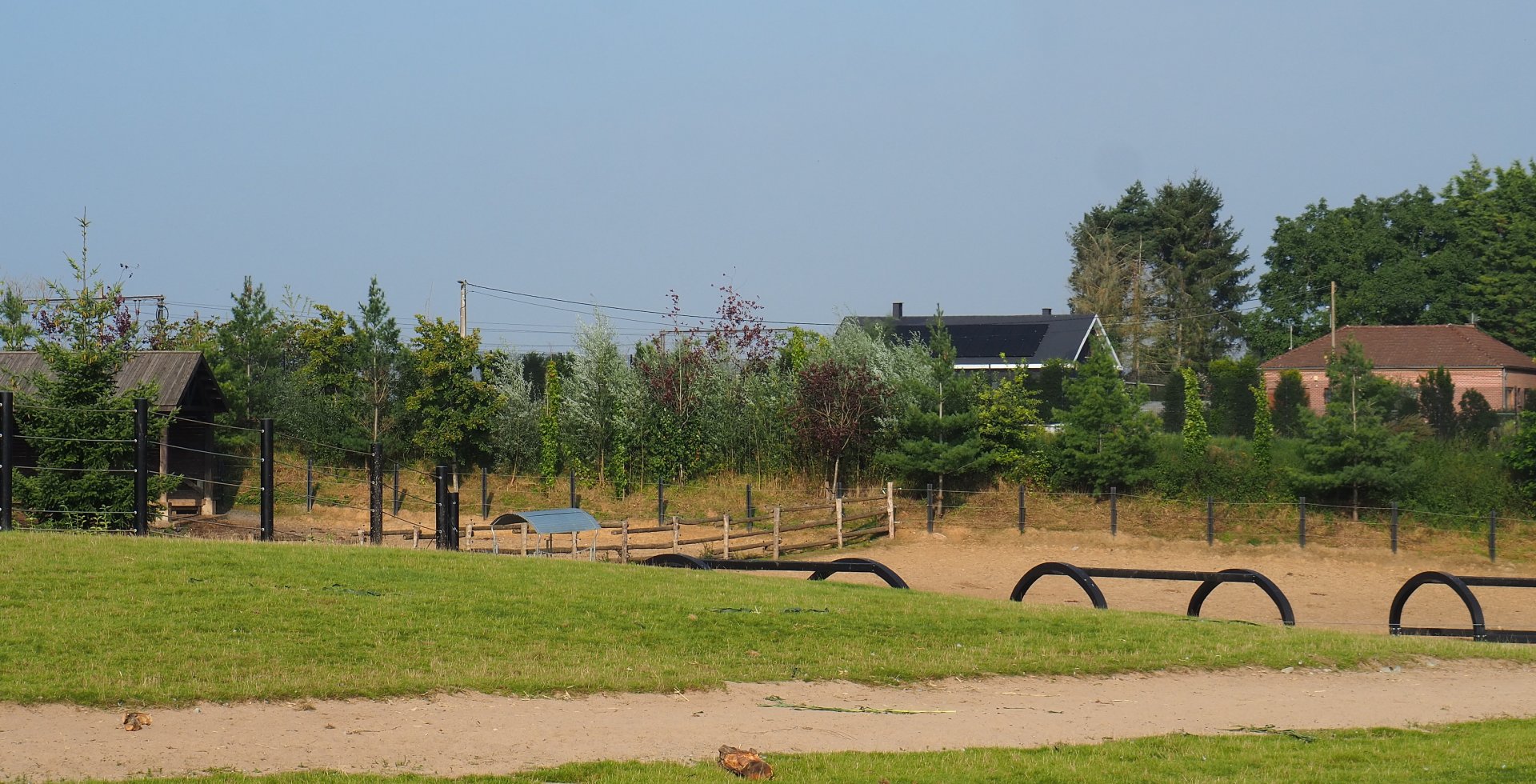 American bison area (behind one of the Asian elephant paddocks and the railway), 2021-09-02