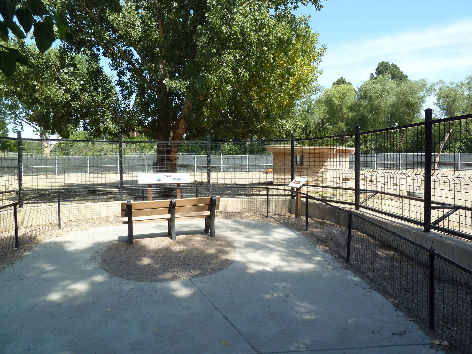 American Bison/Elk Exhibit